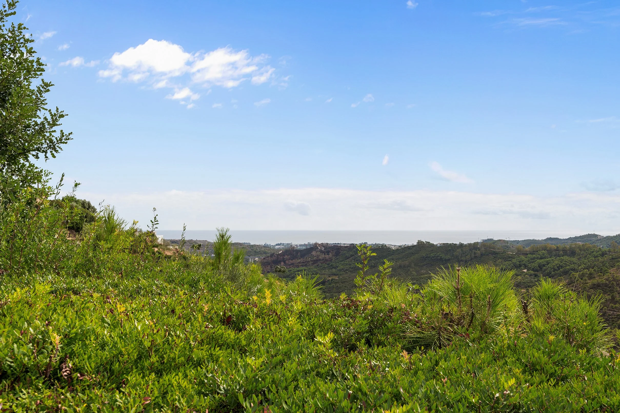Montemayor C9-35.jpg