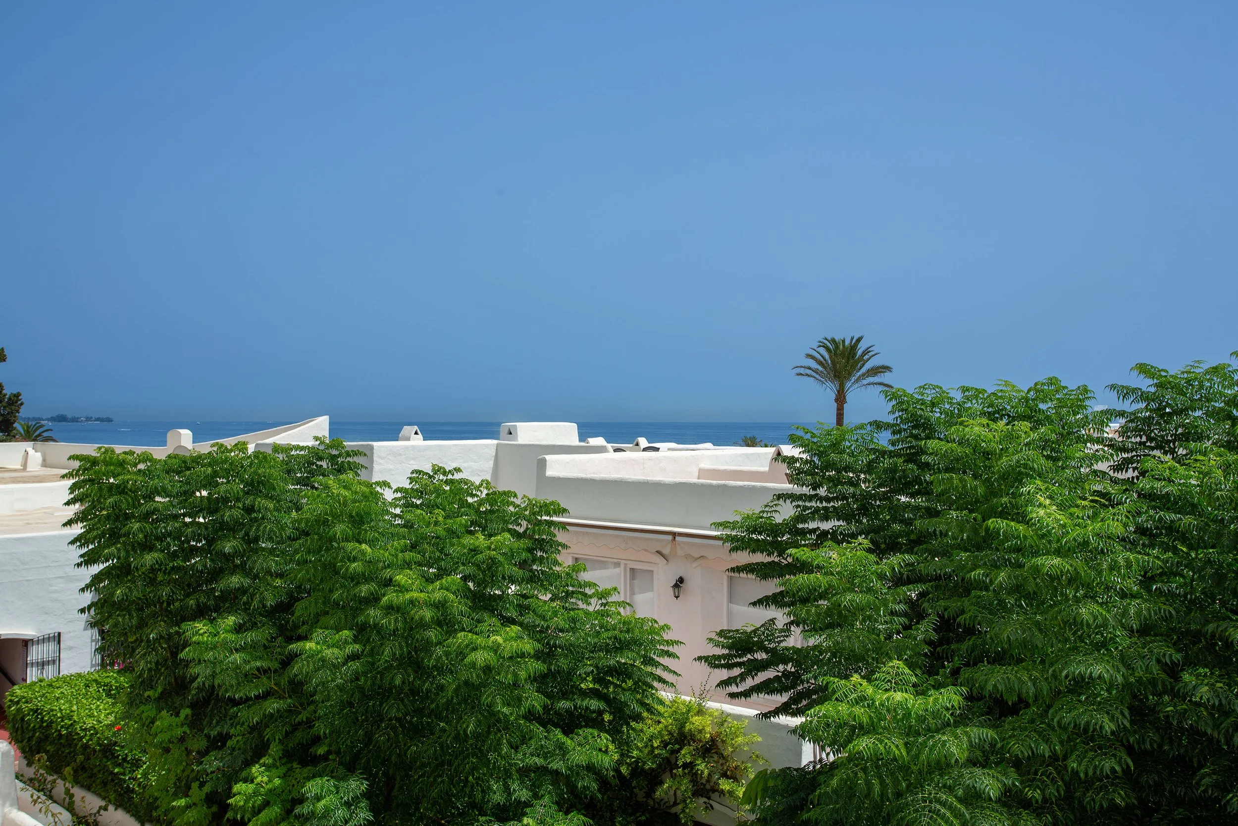 spca_visual_marbella__J0B9231-Edit.jpg