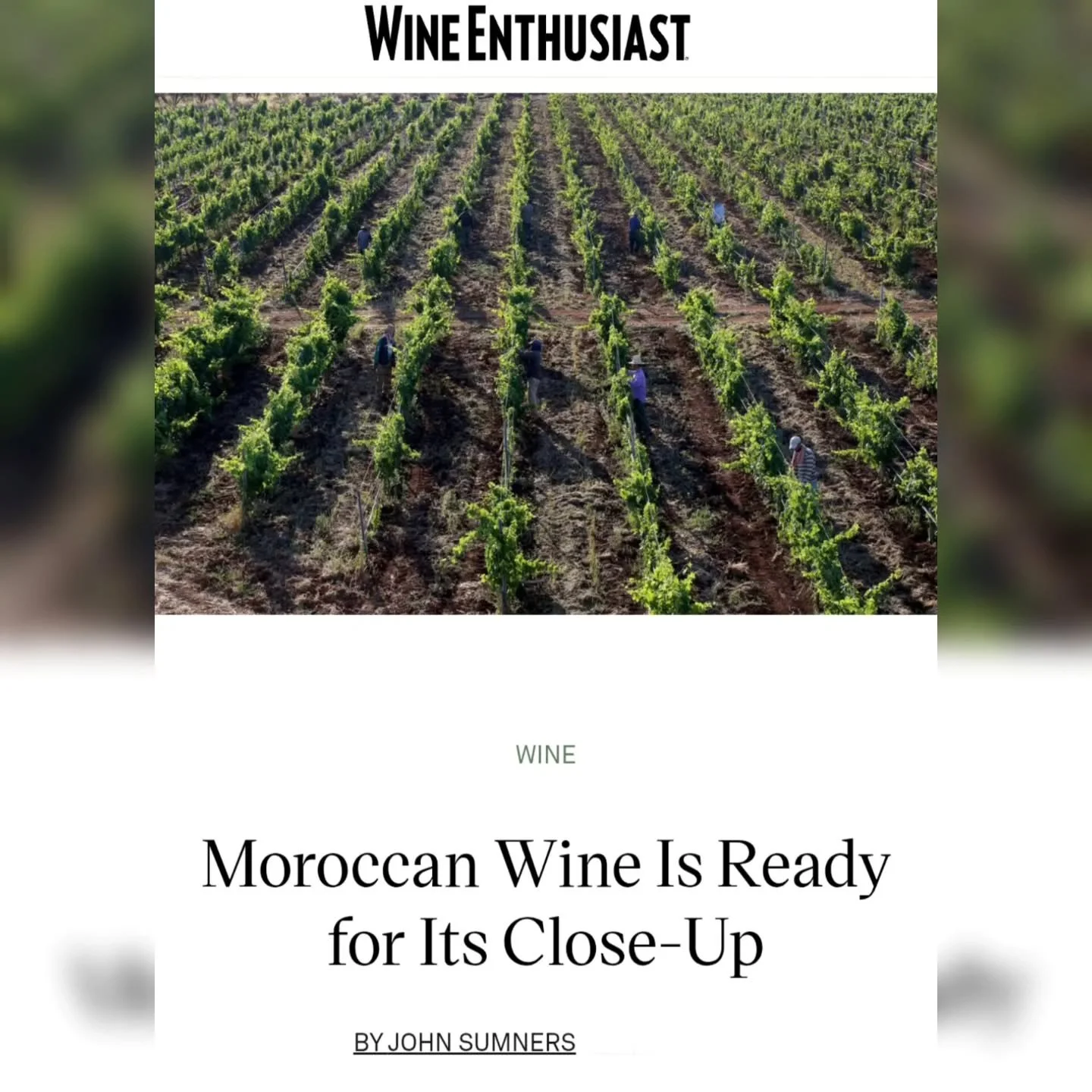 Morocco and its wine culture are far too often wildly misunderstood. Find out about the past and present of what you're missing in the northwest corner of Africa in my latest for Wine Enthusiast ...
***LINK IN BIO***

@wineenthusiast 

#Morocco #Wine