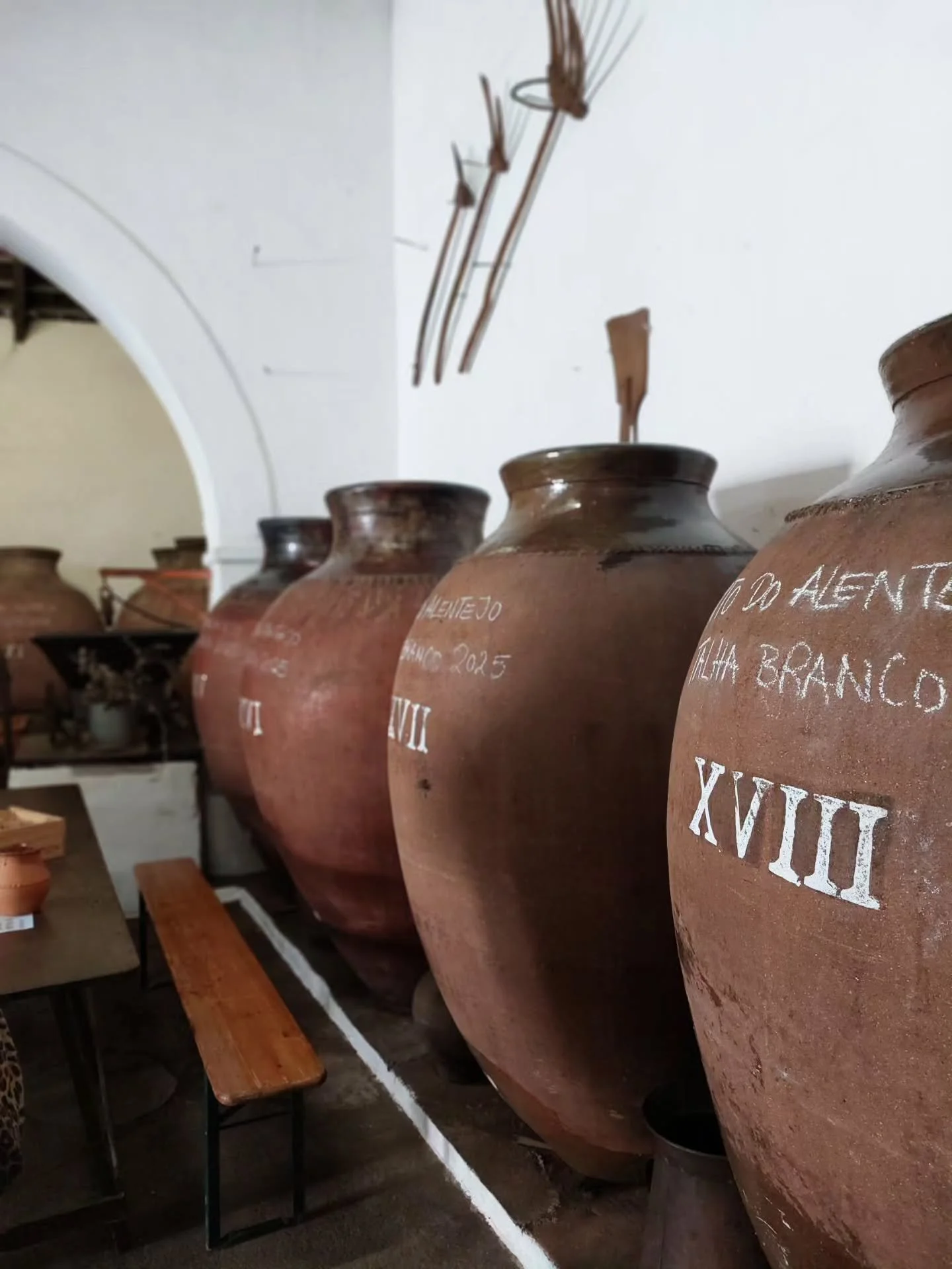 Time to tap the talhas in Alentejo...

It's my favorite harvest season tradition on earth. The freshly fermented talha wines are opened to share and celebrate another year of hard work and rural abundance.

There's something deeply moving about Alent