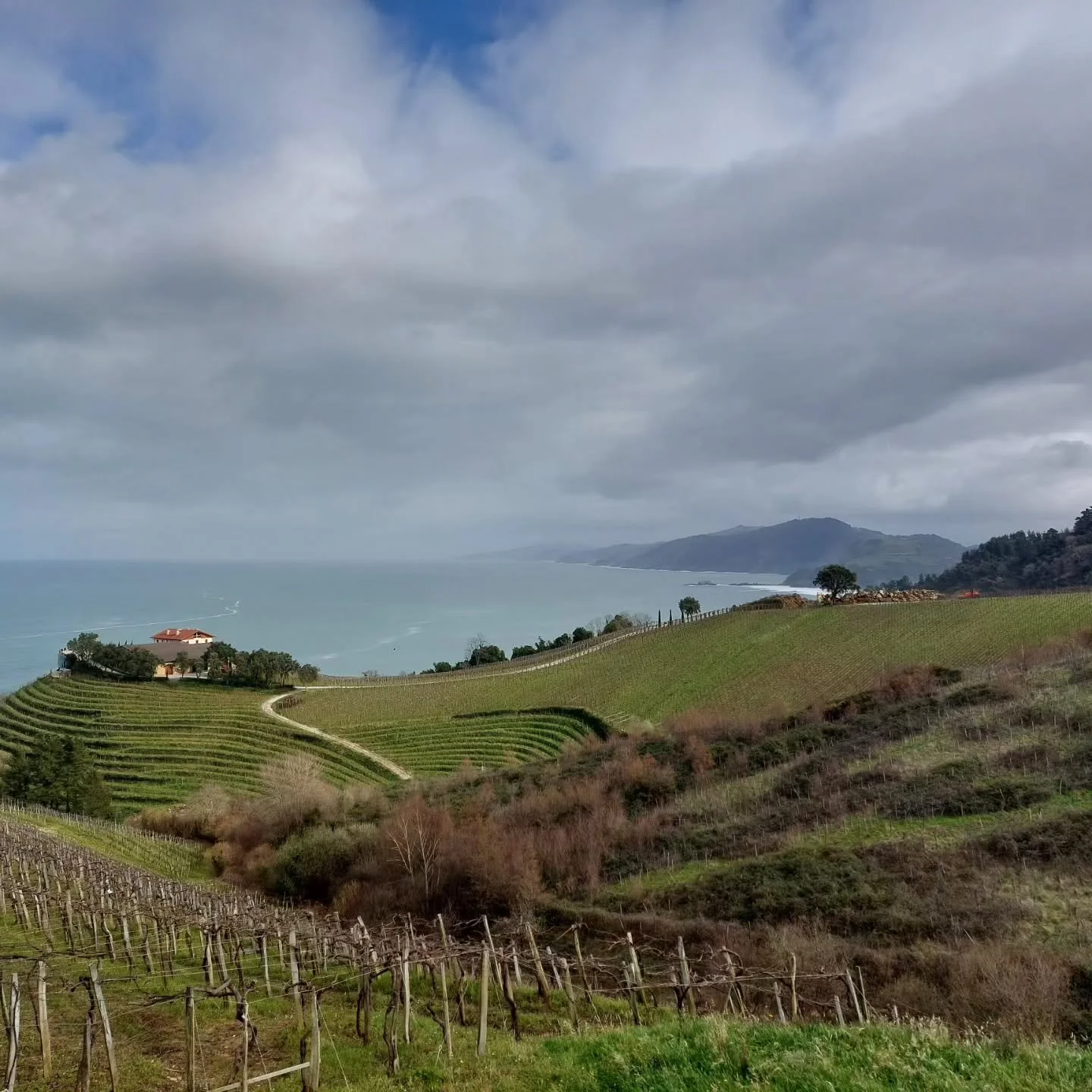 Looking back at a few days spent in Basque Country. Visiting brilliant Txakoli producers, enjoying quality time with a dear old friend, soaking in the distinctive culture, and, of course, eating everything in sight.

If you don't leave this place a f