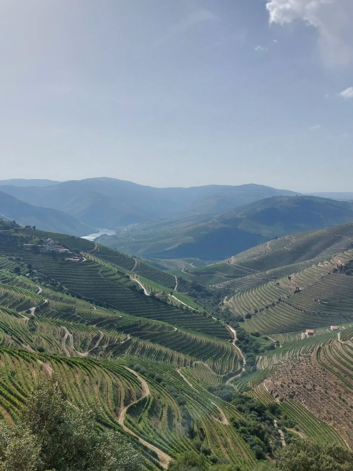 There's a reason Douro is Douro, and nothing else is. I keep thinking, every trip up north, that maybe the wonder will lack just a hint of its previous luster this time.

It never does.

This place still leaves me speechless and in awe when I descend