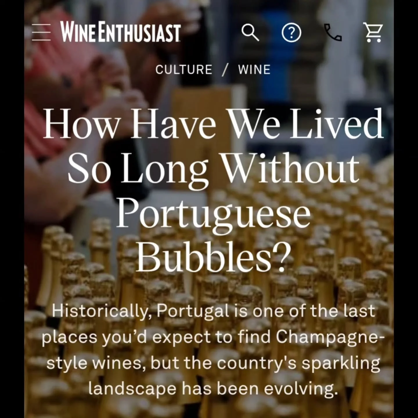 It was a revelatory shock. Ages ago, on my first-ever trip to Porto, I stood in a bottle shop, dumbfounded by the abundance of Portuguese traditional-method sparkling wines on the shelves. "Why is Portuguese bubbly not a thing elsewhere?" I