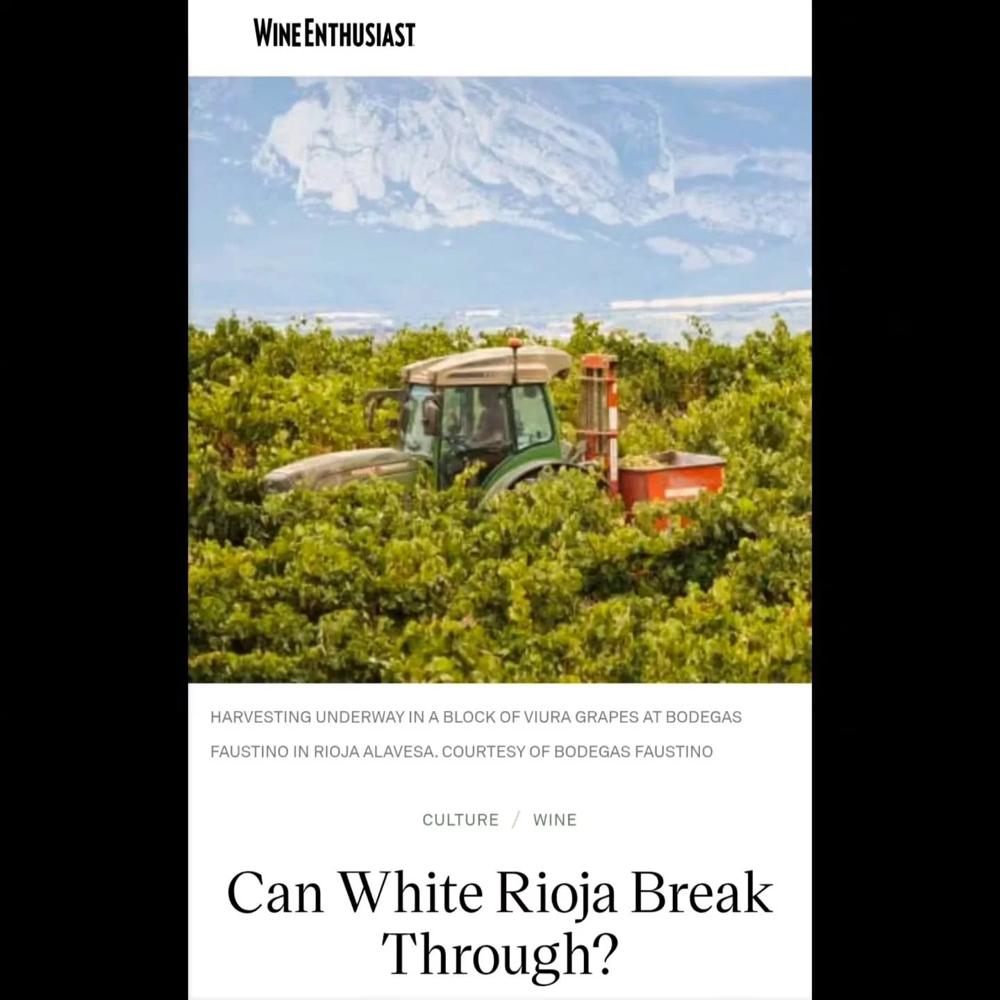 It was a marathon of Rioja trade tastings in the heart of the legendary Spanish red wine region. And yet time and time again, it was the white wines eliciting the "OMG!" ringing through my inner monologue.

Come find out how a new era of wh