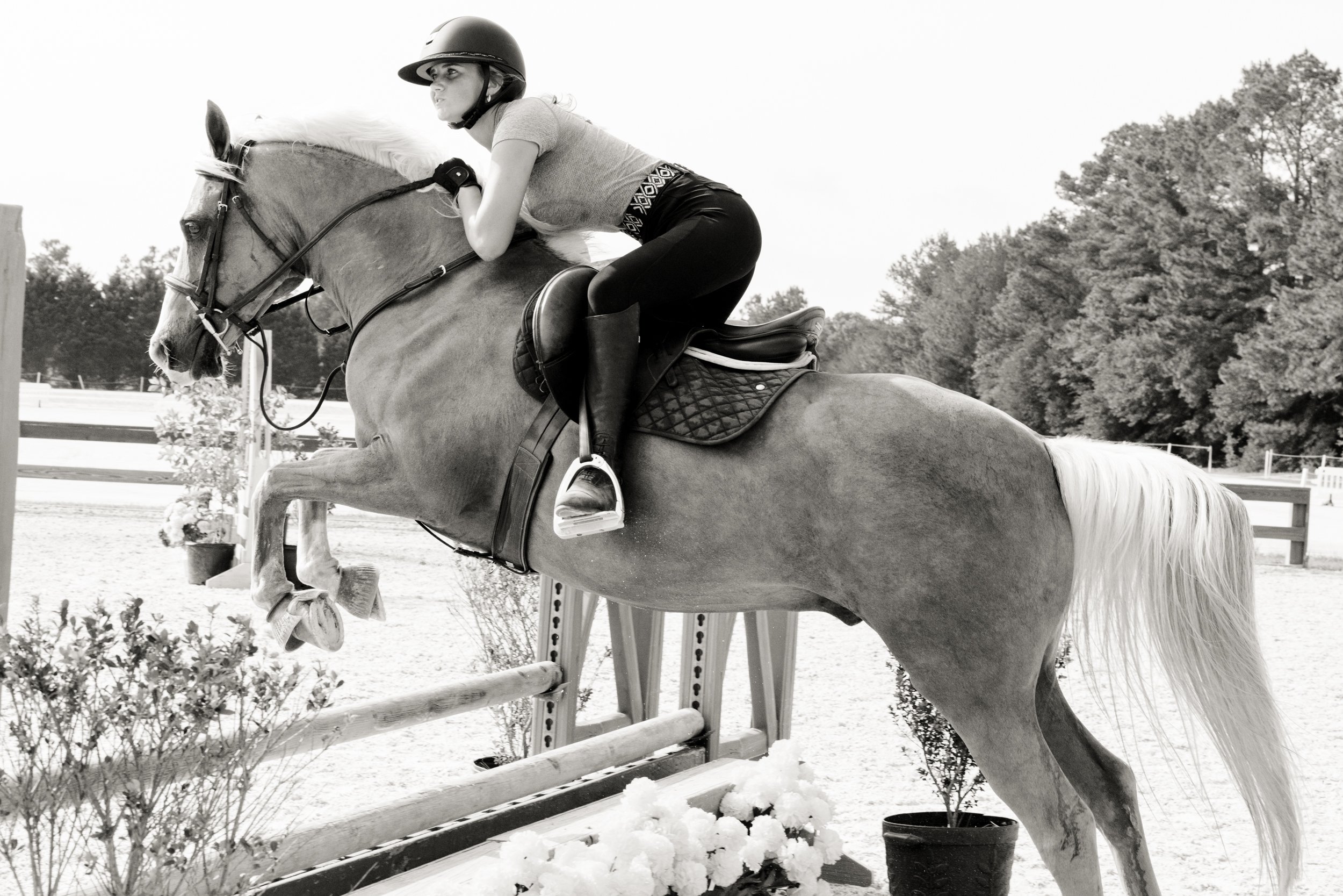 Horse show may 2026-8.jpg