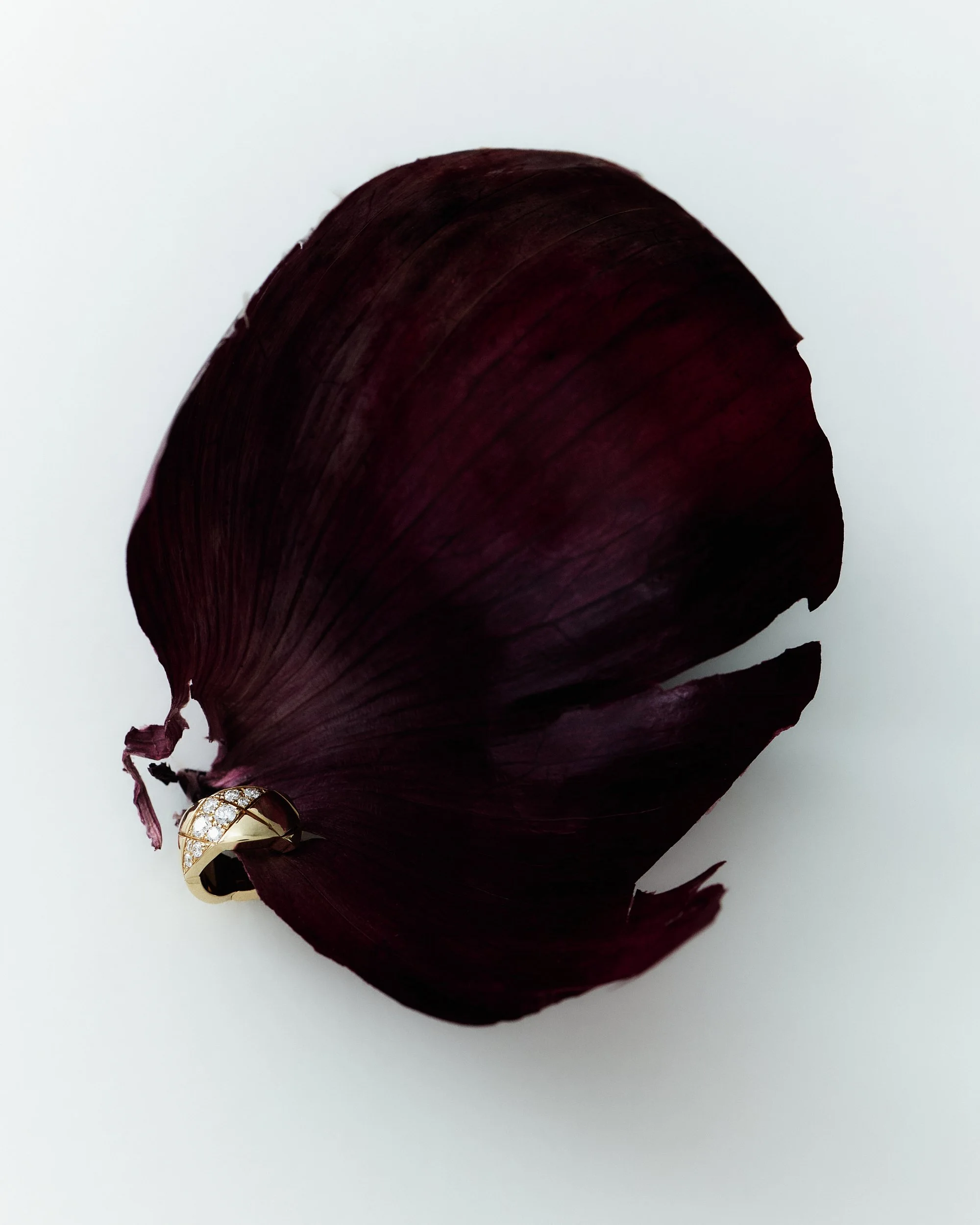 FACES_NUDE EDITORIAL_NATURE MORTE_ 150@Alizee omaly_WEB.jpg