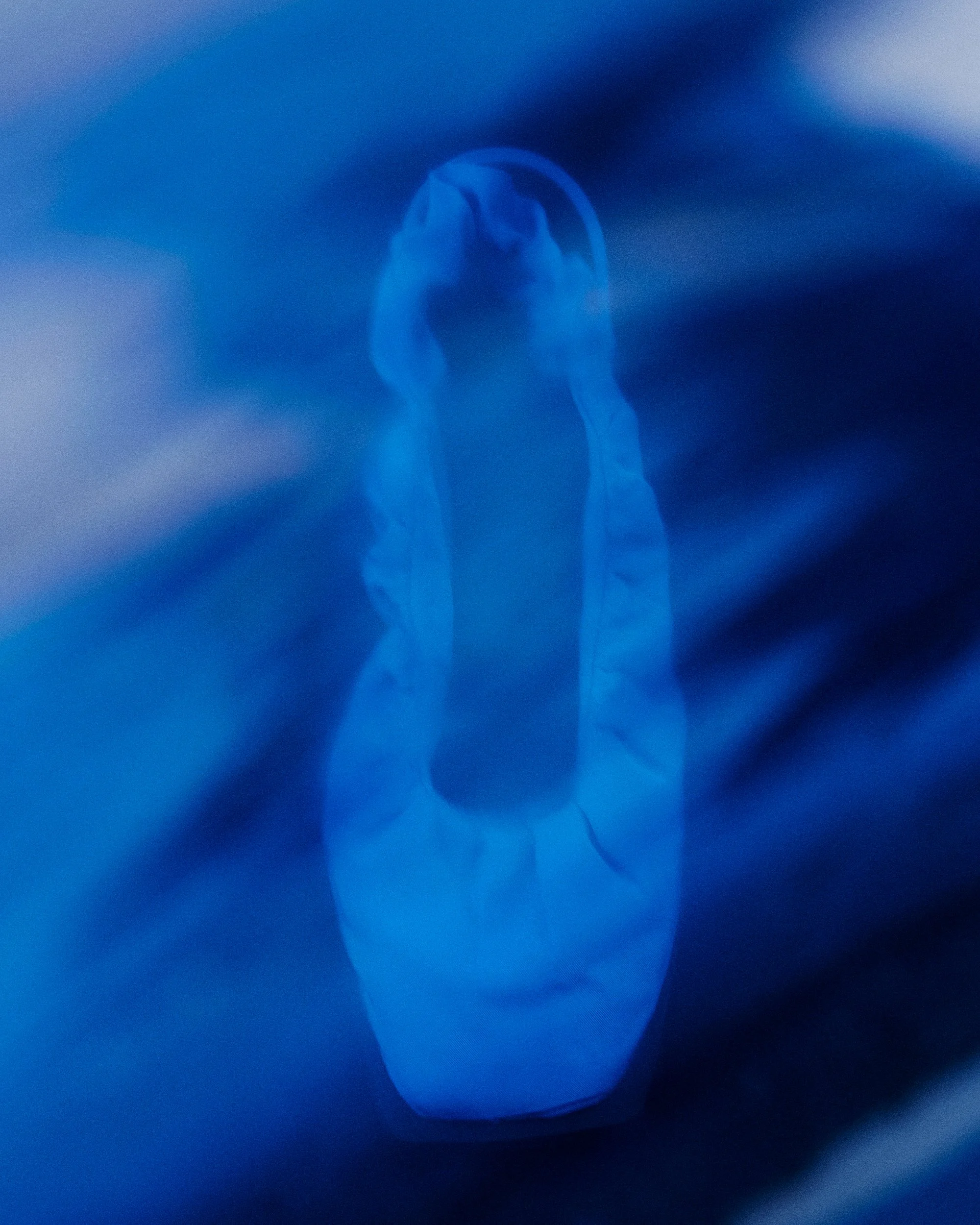 ELECTRICITY_NATURE MORTE_351@Alizee omaly_WEB.jpg