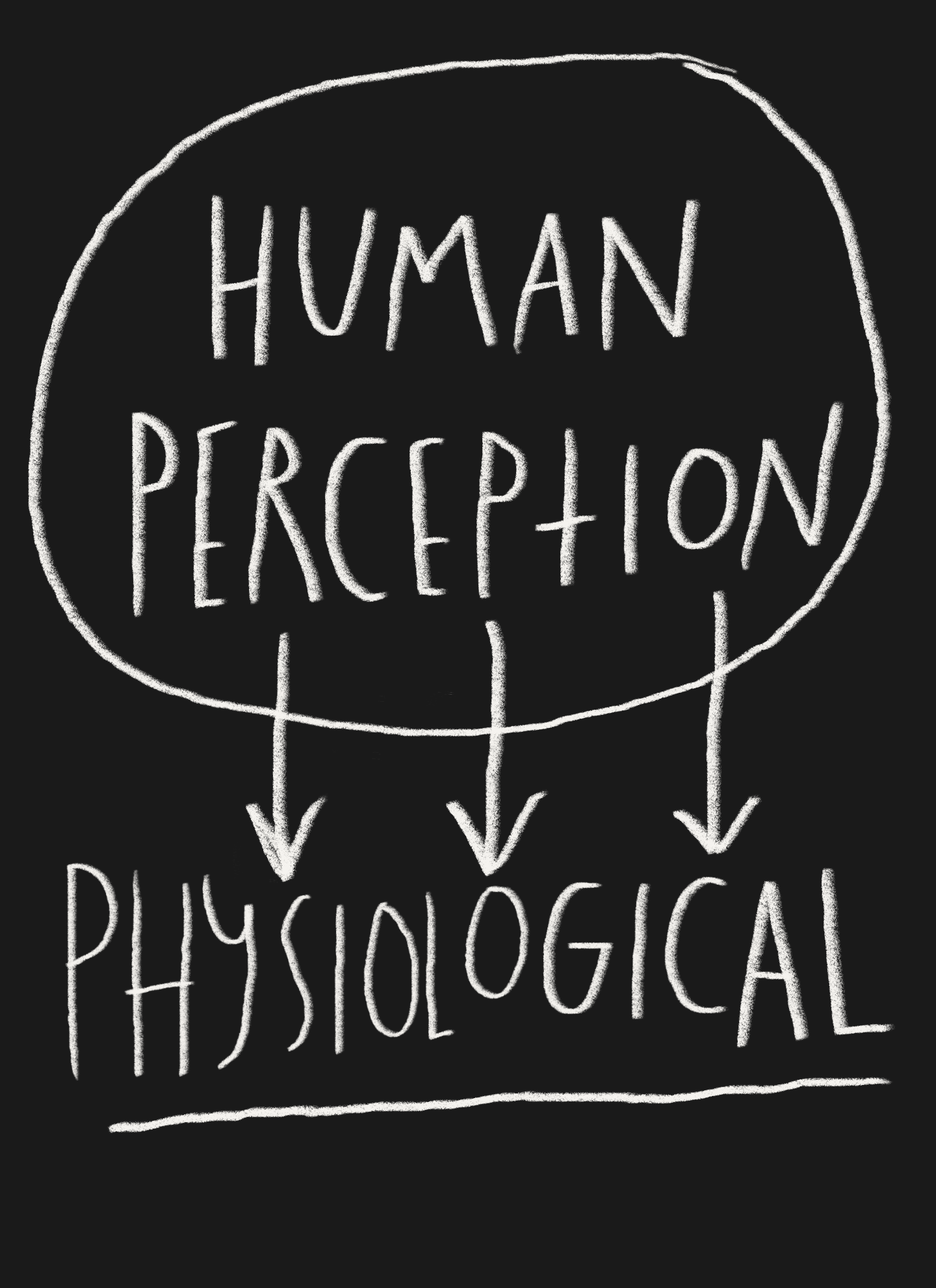 Your Nervous System is Translating Reality
