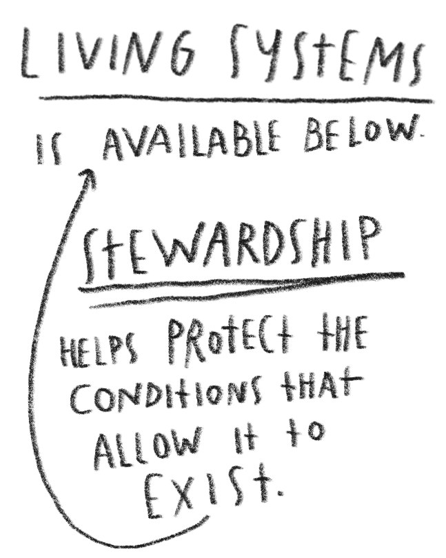 Handwritten note on black background that reads: "Living systems are available below. Stewardship helps protect the conditions that allow it to exist."