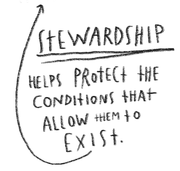 Handwritten note stating 'Stewardship helps protect the conditions that allow them to exist,' with a curved arrow pointing to the word 'Stewardship'.