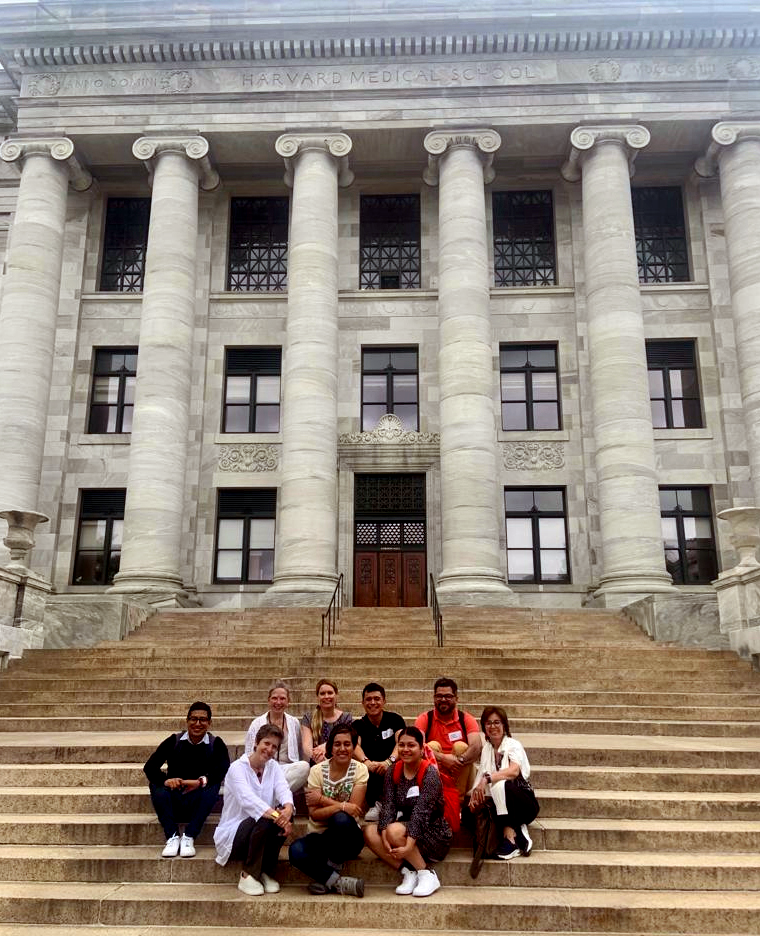 Harvard Medical School and Boston Children's Hospital NBO training partnership - bringing Brazelton Institute methods to Spanish-speaking communities. Harvard Medical School, Boston Children's Hospital, Brazelton Institute, international partnership.