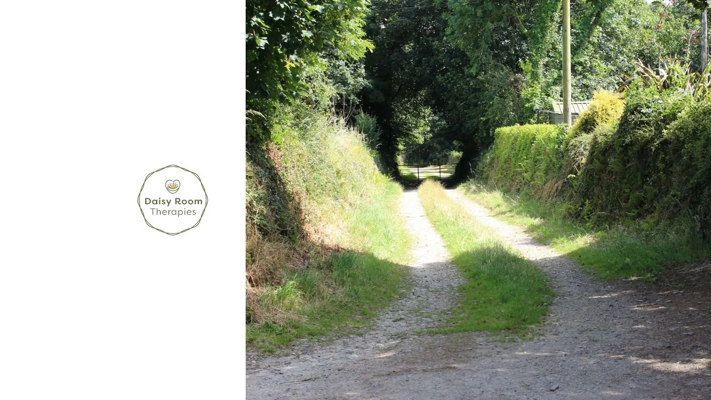 Daisy Room Therapies, Holistic Centre, Co Wexford