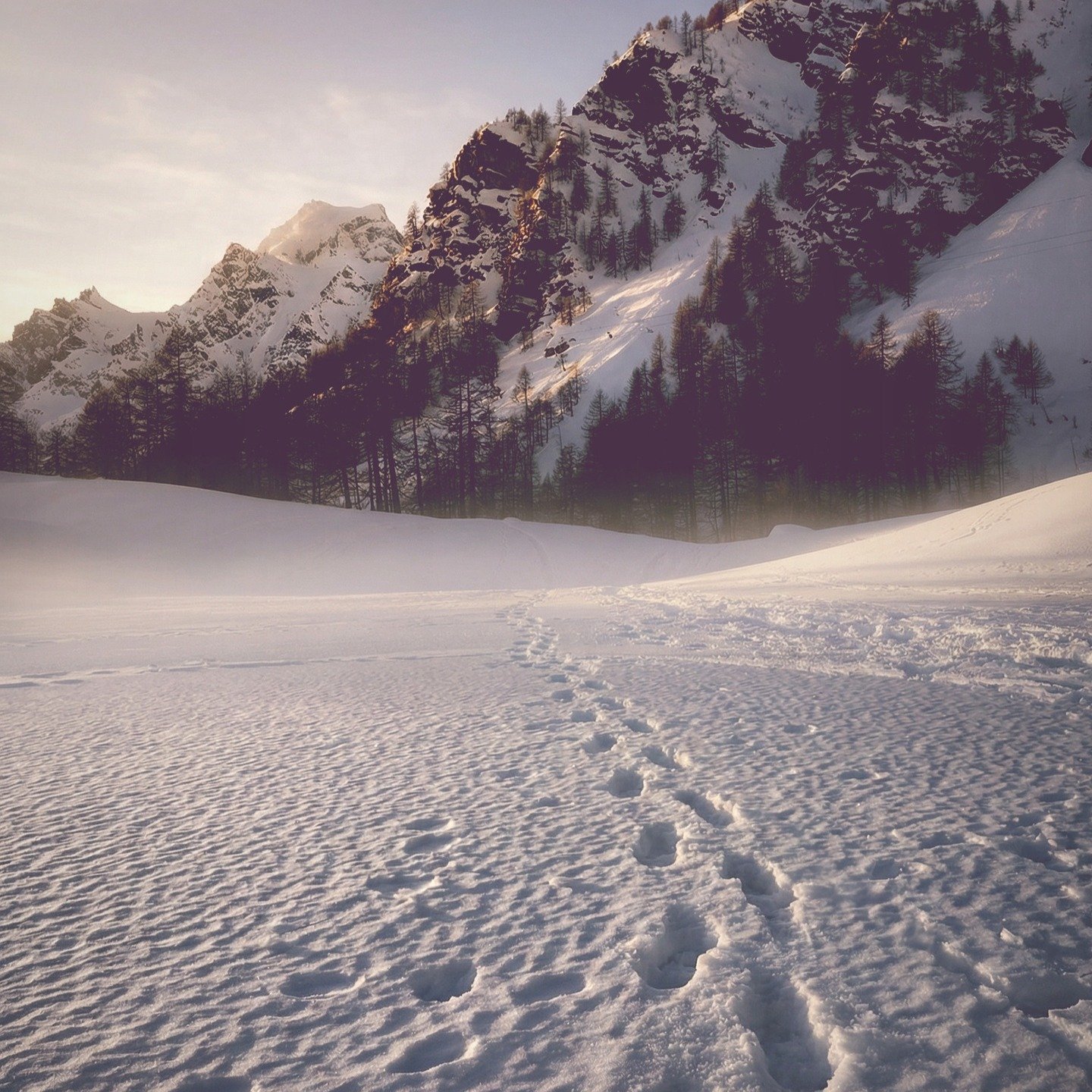 Solo ci&ograve; che scompare esiste davvero.
Se non mi vedi, sto vivendo.