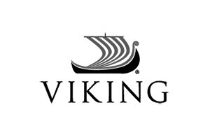 viking.jpg