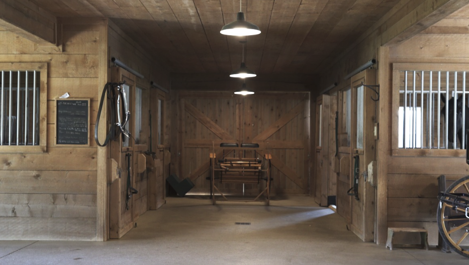 Screen Shot 2023-05-03 at 11.17.45 AM.png