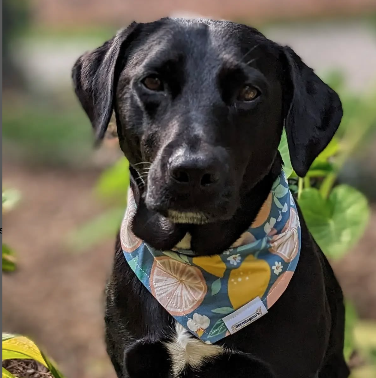 Screenshot 2025-01-15 at 1.10.46 PM.png