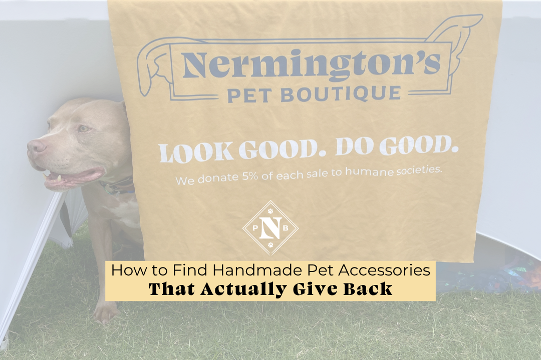 How to Find Handmade Pet Accessories That Actually Give Back