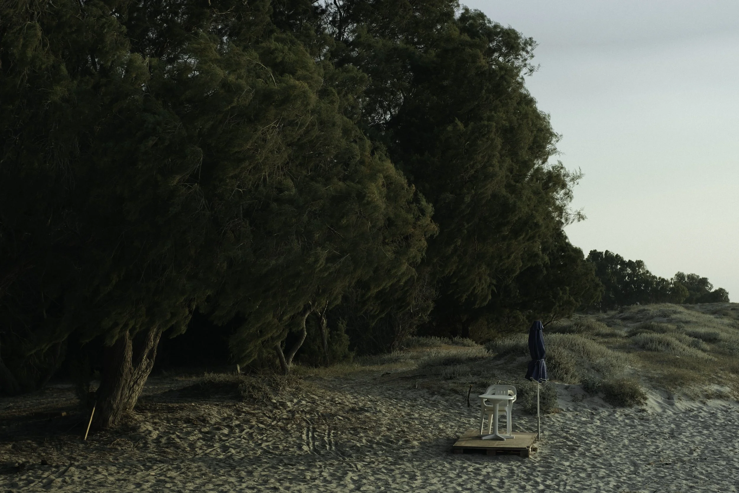 Ein Strand mit Sand, einige große grüne Bäume und Büsche. Auf einem Holzpodest stehen ein Kinderhochstuhl und ein Sonnenschirm.