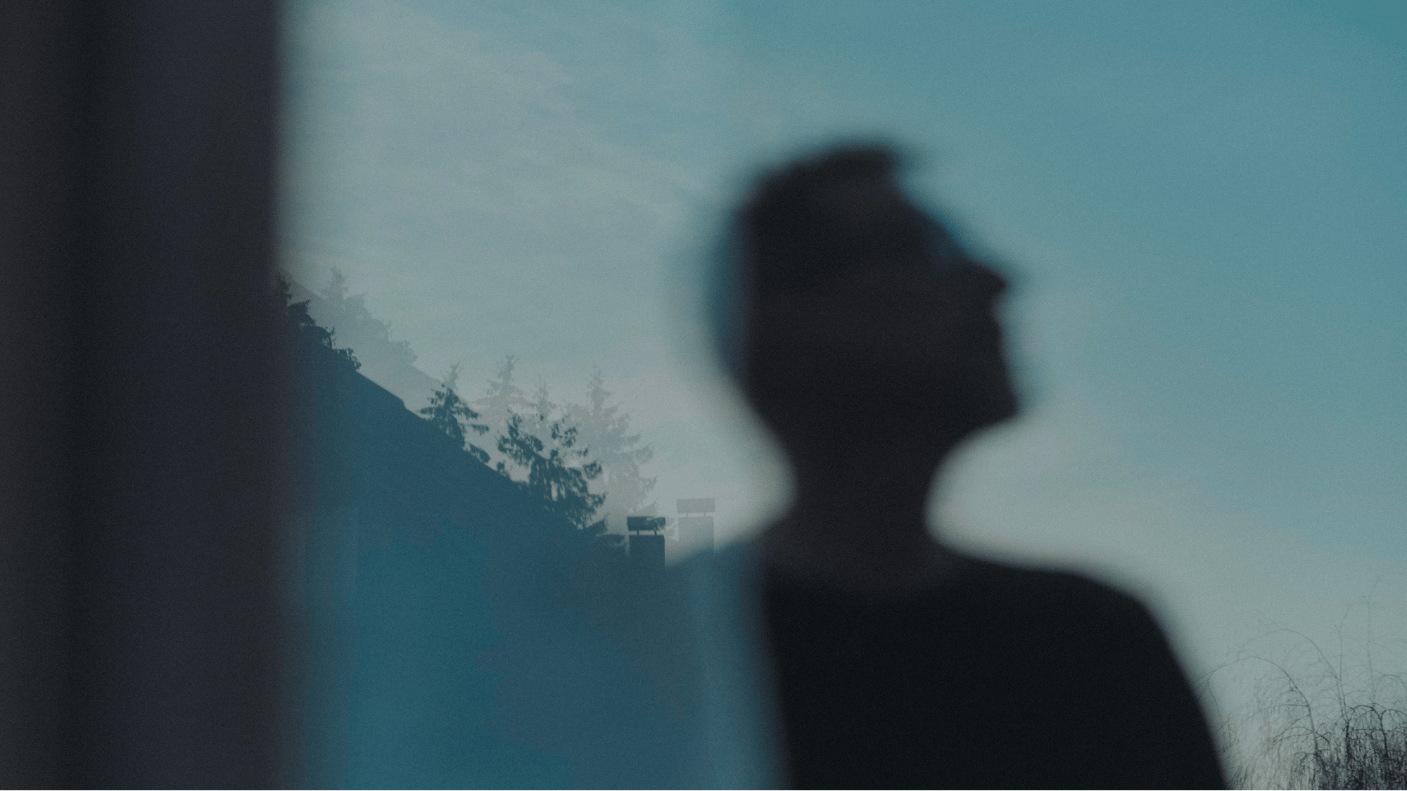 Schatten einer Person gegenüber einem Fenster mit Blick nach draußen, Bäume im Hintergrund bei bewölktem Himmel.