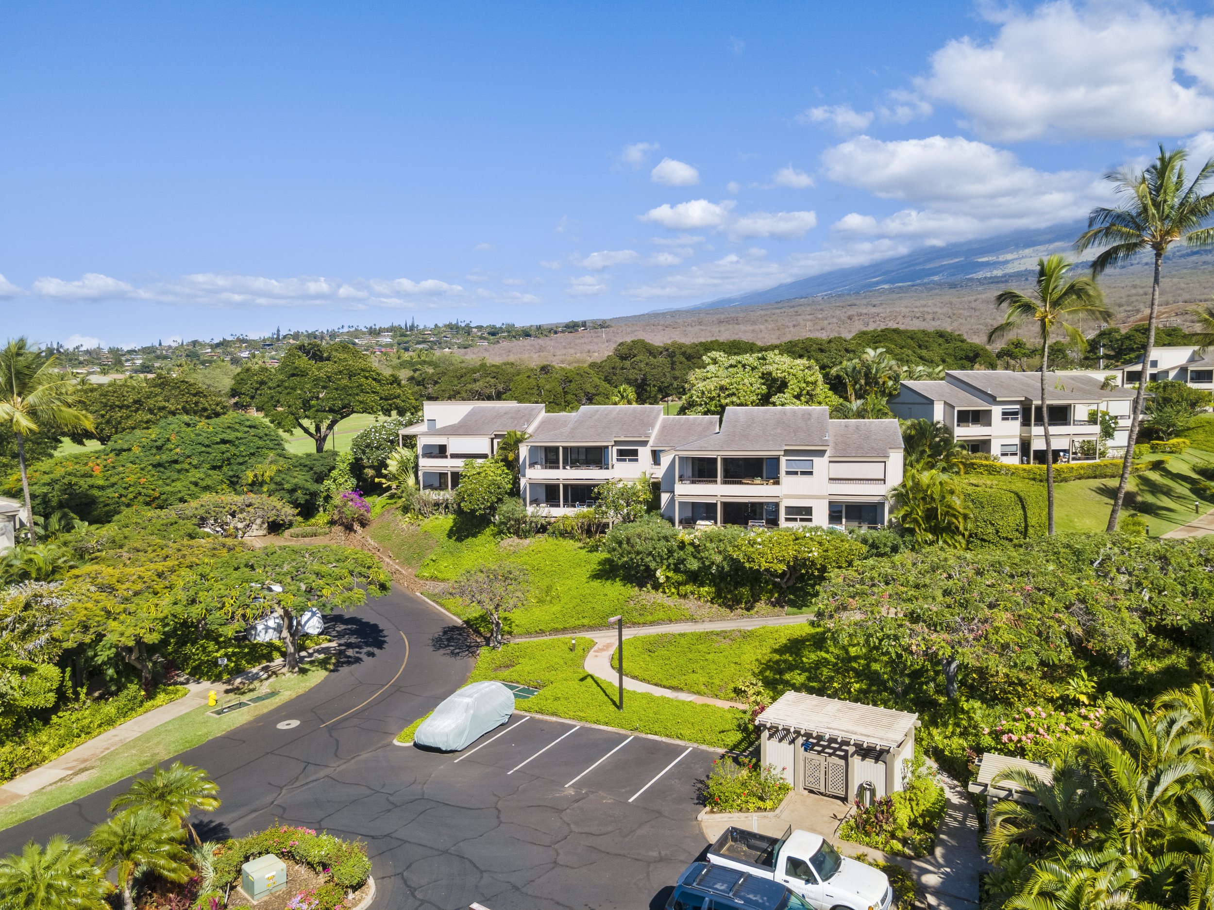 02-DJI_0238.jpg