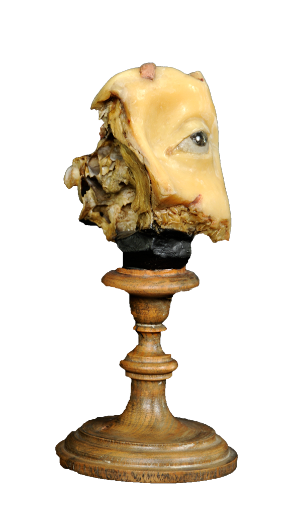 Occhio. Courtesy of Alma Mater Studiorum – University of Bologna – University Museum Network – Museum of Palazzo Poggi. Photo: Fulvio Simoni