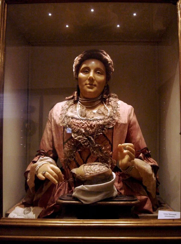 Image 9: Anna Morandi's 'Self-portrait'. Courtesy of Alma Mater Studiorum – University of Bologna – University Museum Network – Museum of Palazzo Poggi. Photo: Giacinto Cambini