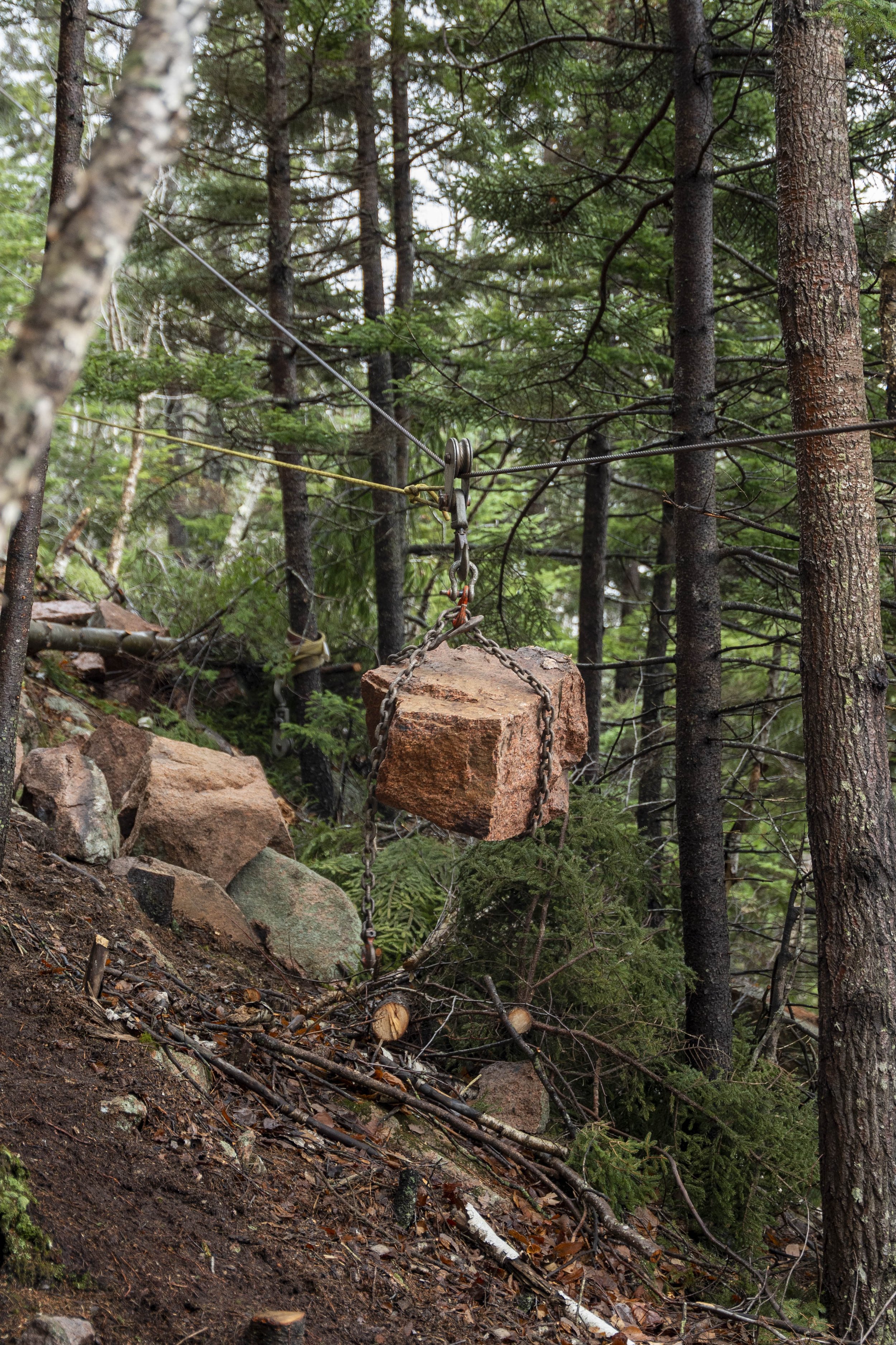 Acadia Trails-19.jpg