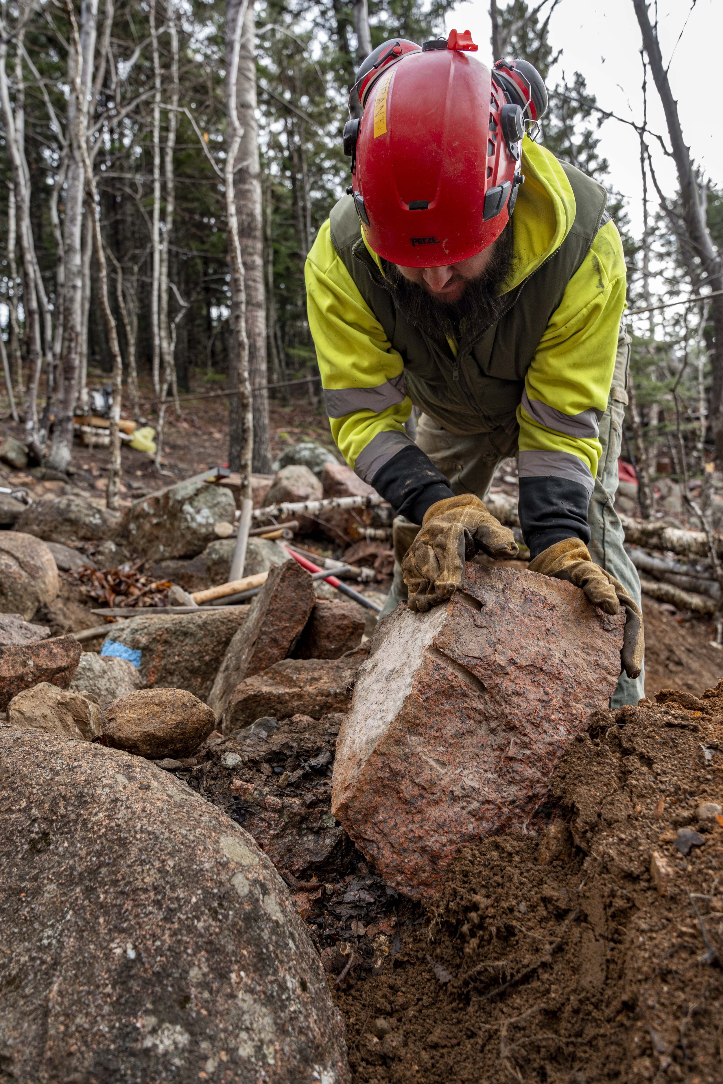 Acadia Trails-15.jpg