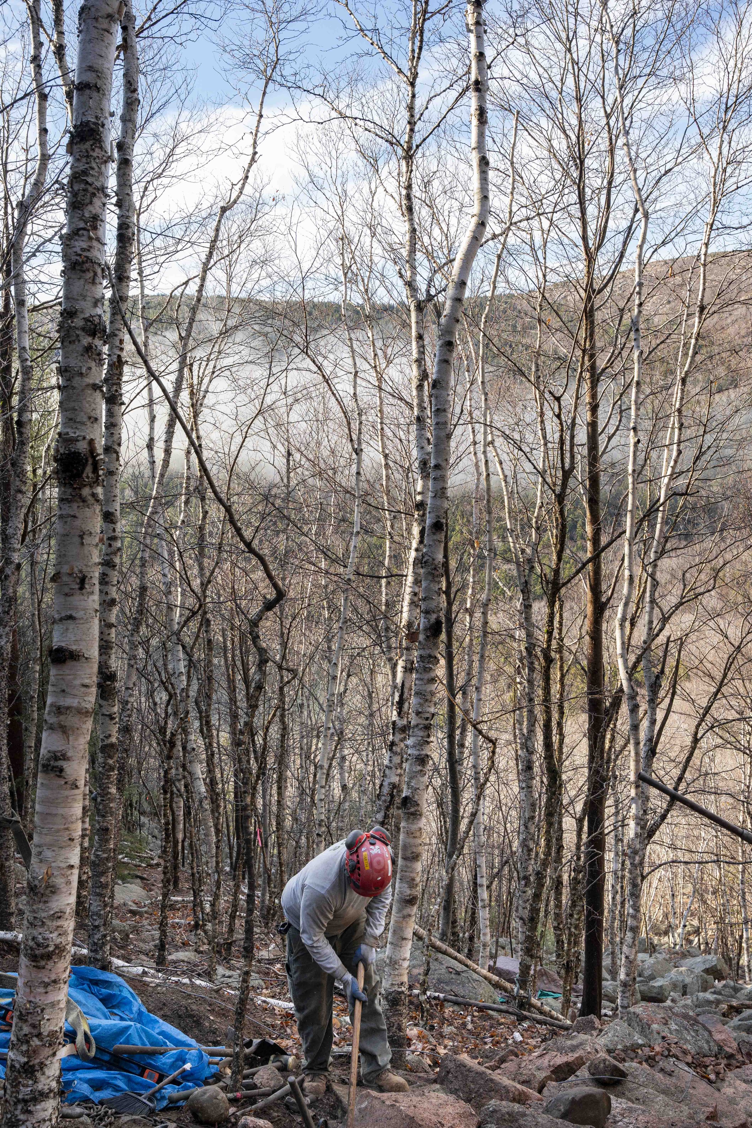 Acadia Trails--3.jpg