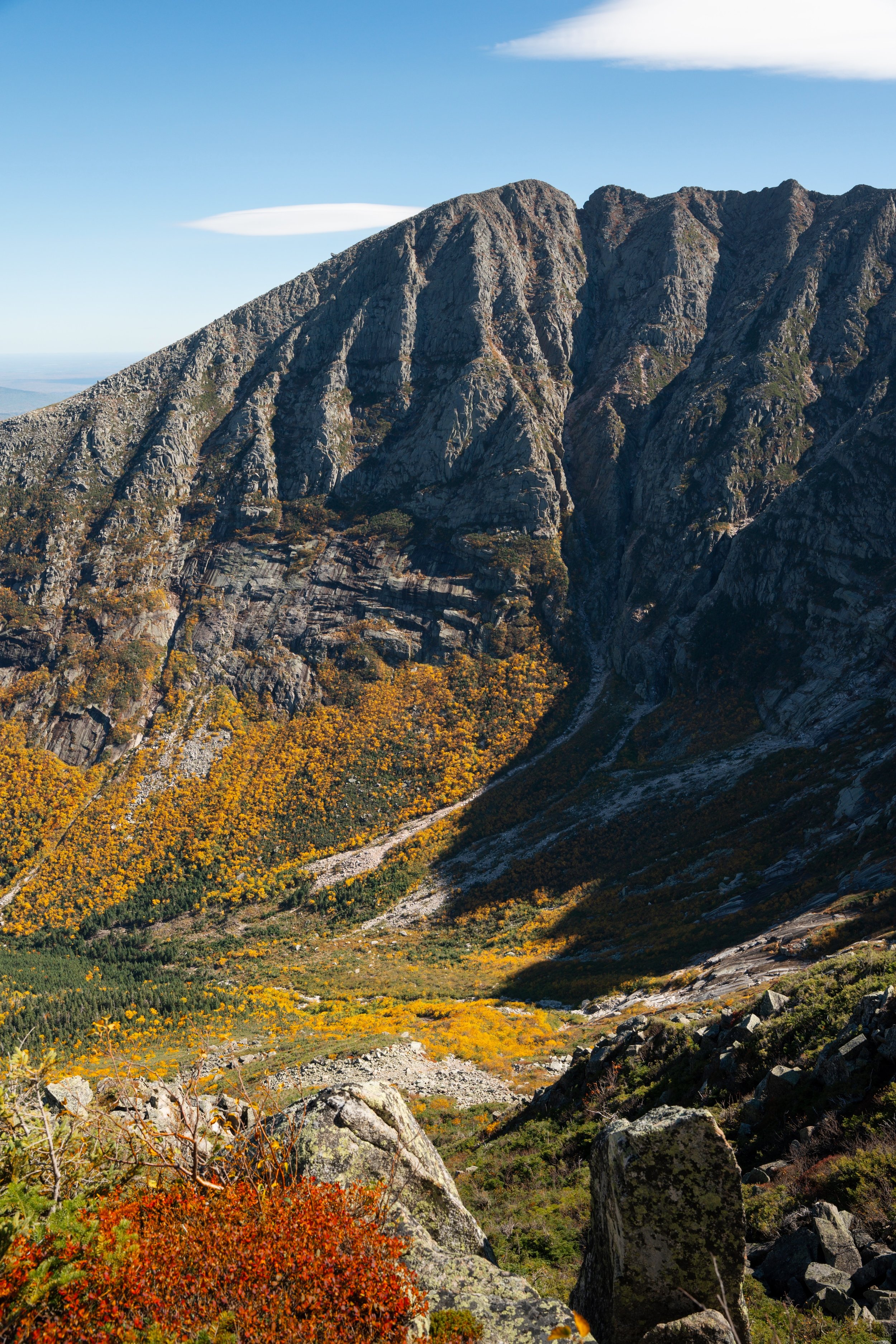 20250929-Majka_Gin_Autumn in Baxter.jpg