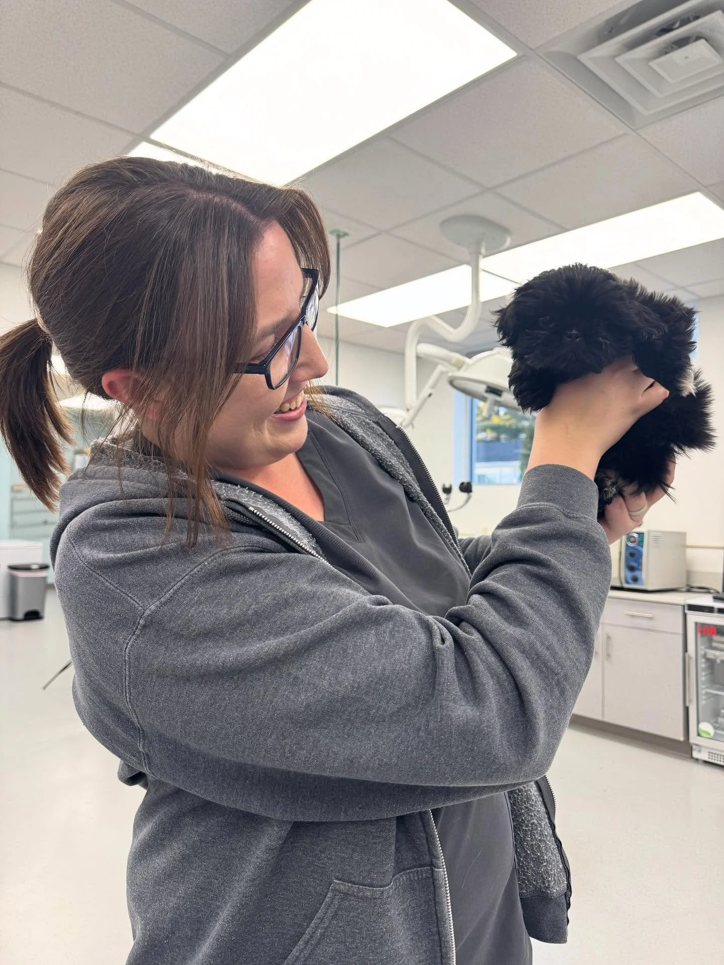 Everyone is in love with Luna❤️ #puppylove #newpuppy #puppyfever #truehealvet #livonia #livoniamichigan #shittzulovers