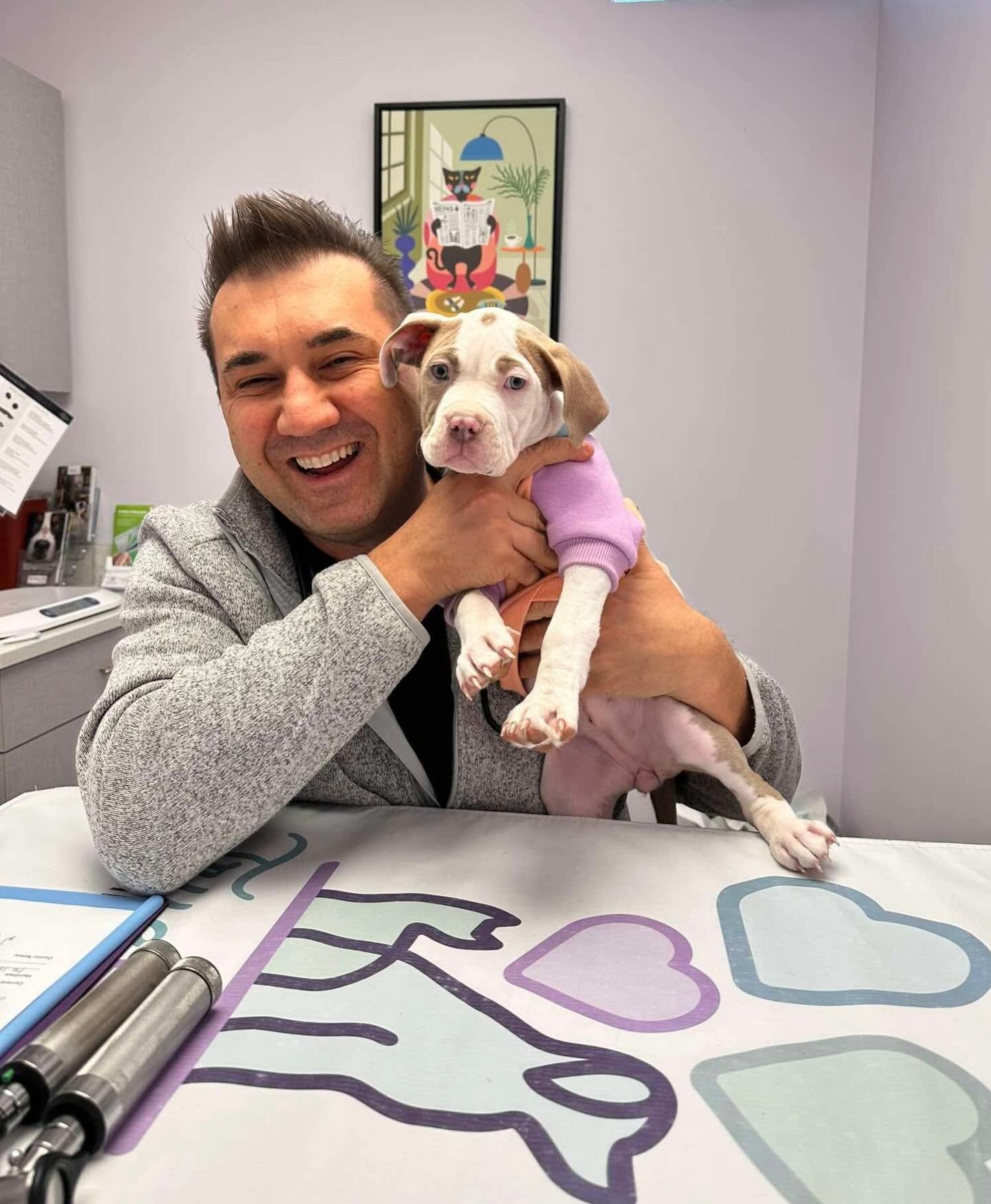 Puppy cuddles: the most important part of the exam. 🐶💜 #VetLife&rdquo; #livoniaveterinaryhospital #livoniamichigan #puppylove #cutepuppies