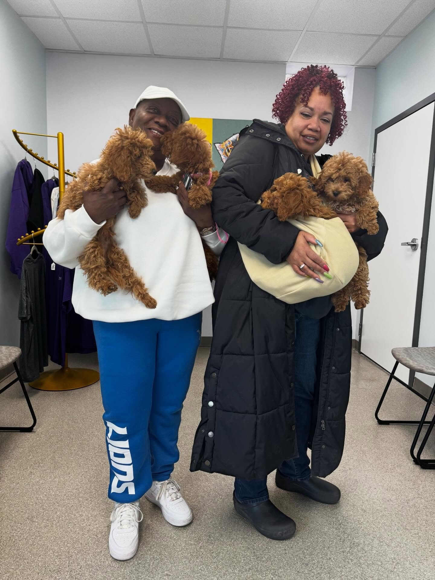 Four little reasons to smile today 🐾💛
Puppy cuddles make everything better. #livoniaveterinaryhospital #livoniamichigan #puppies