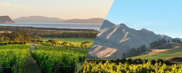 Australia & New Zealand Masterclass and Tasting