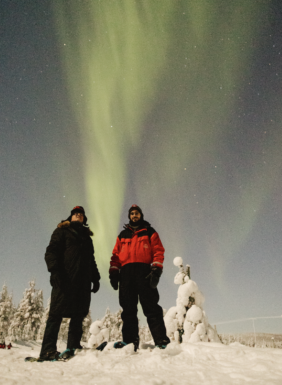 Screenshot 2026-01-31 at 20.15.13.png