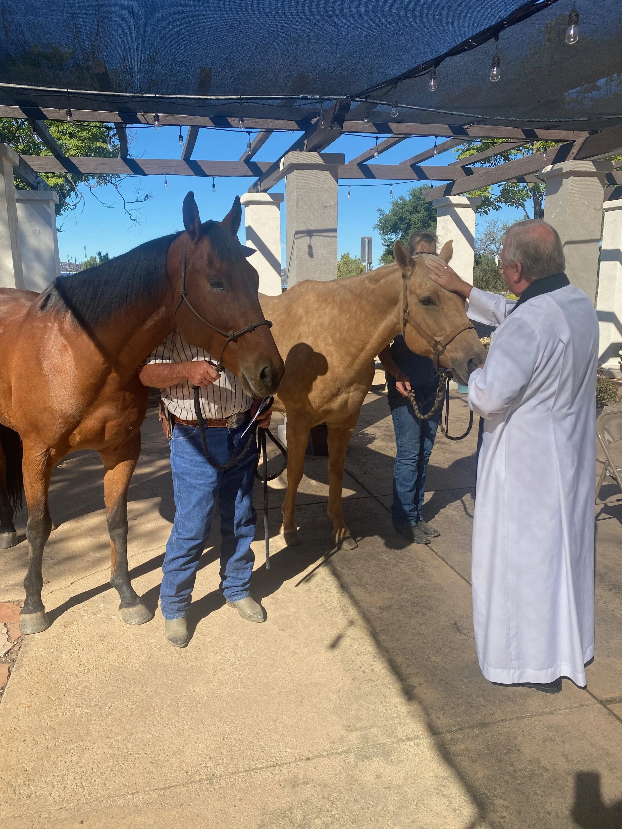Blessing of the Animals 