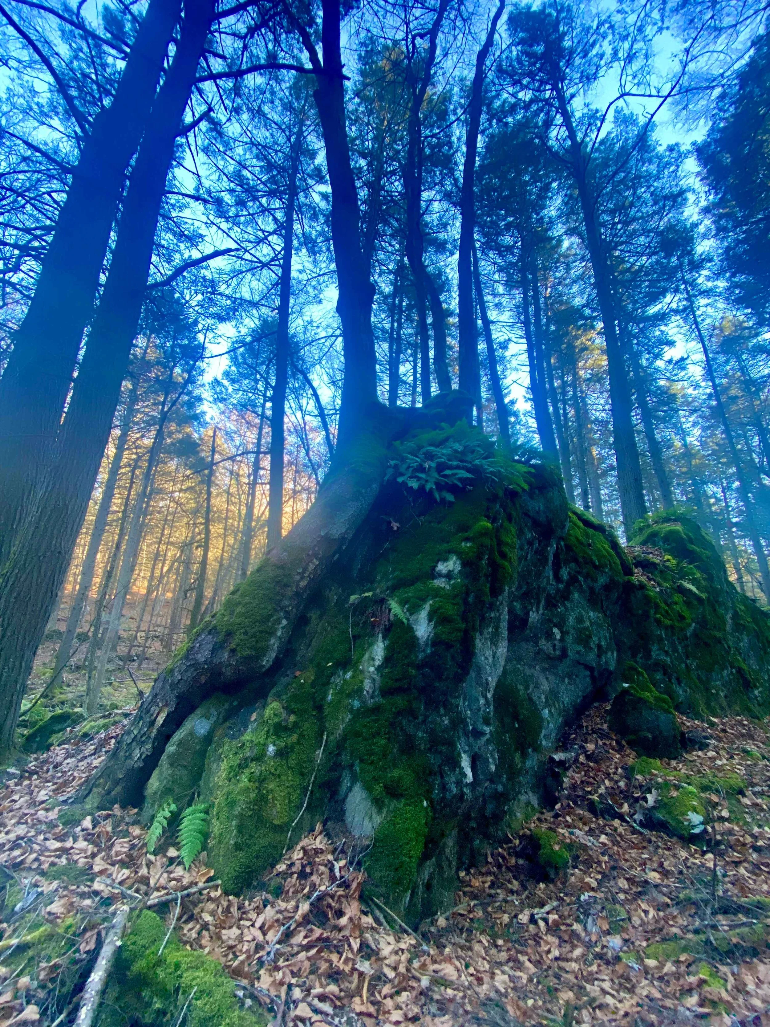 fall_retreat_photo_3.jpg