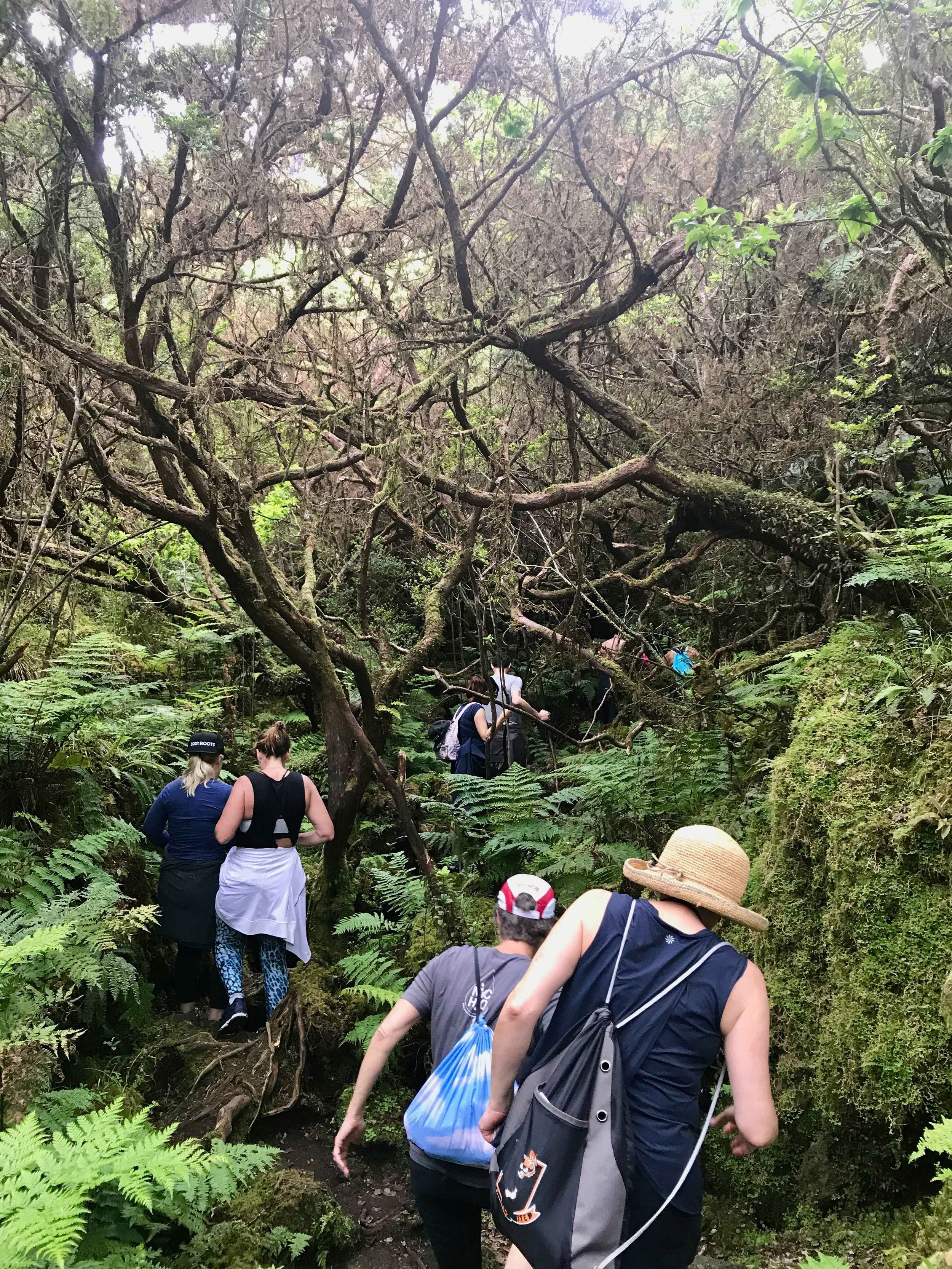 spring gallery 7.jpeg