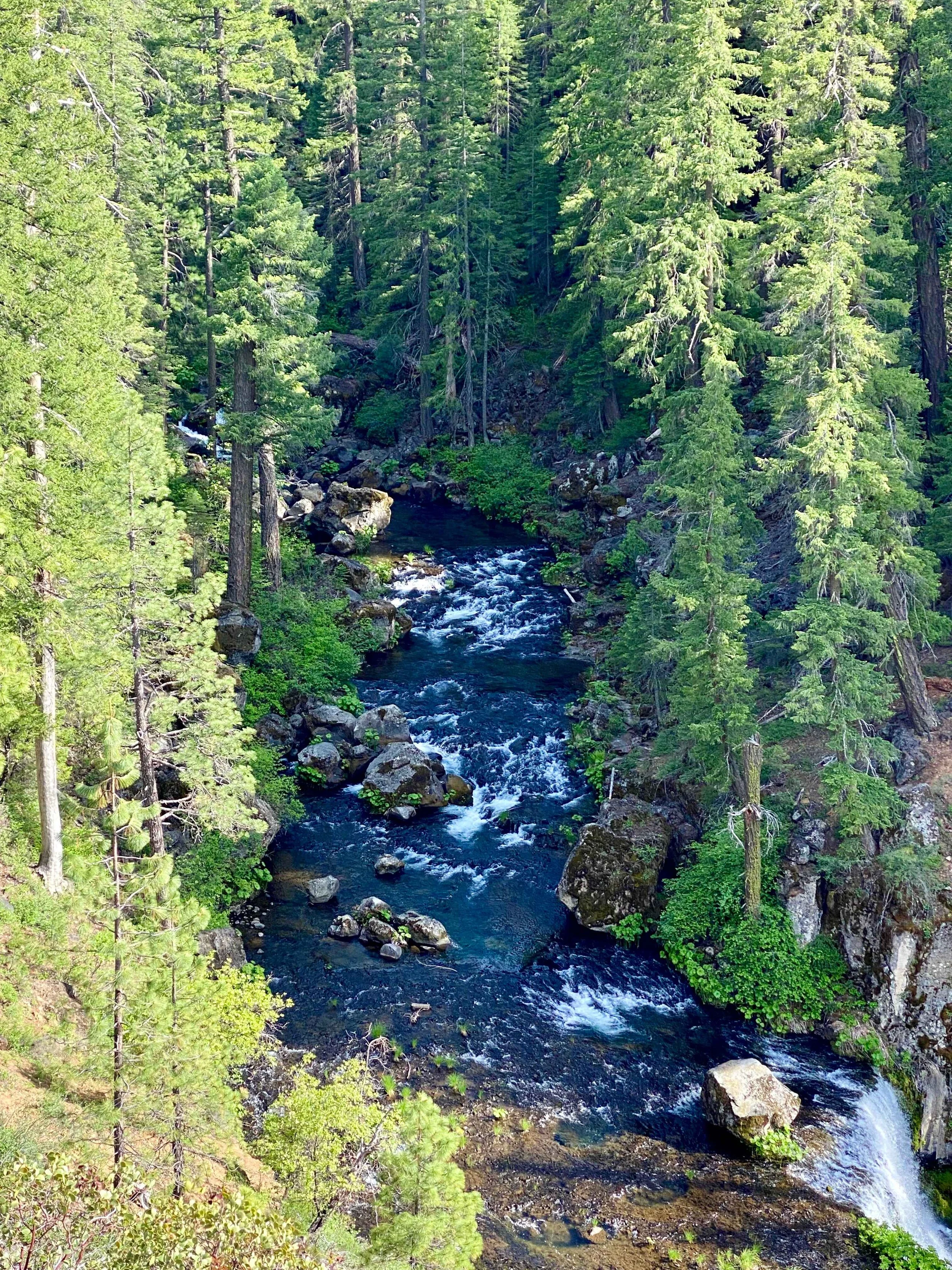 Summer retreat gallery.jpeg