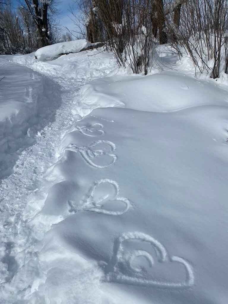 winter gallery 8.jpeg