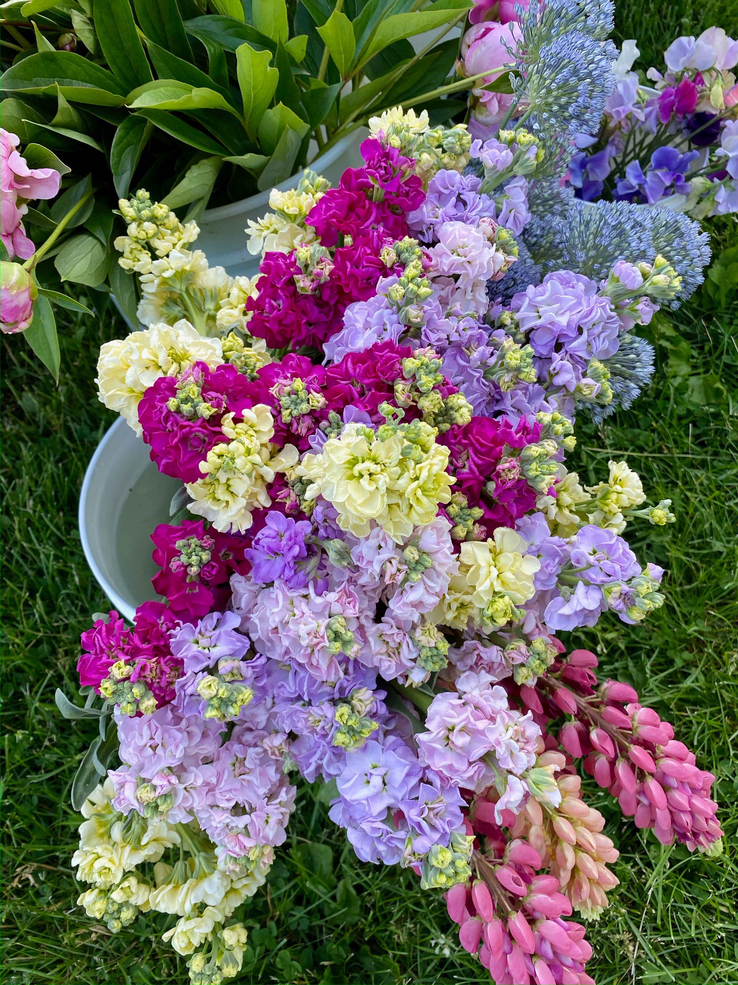 spring gallery 10.jpeg