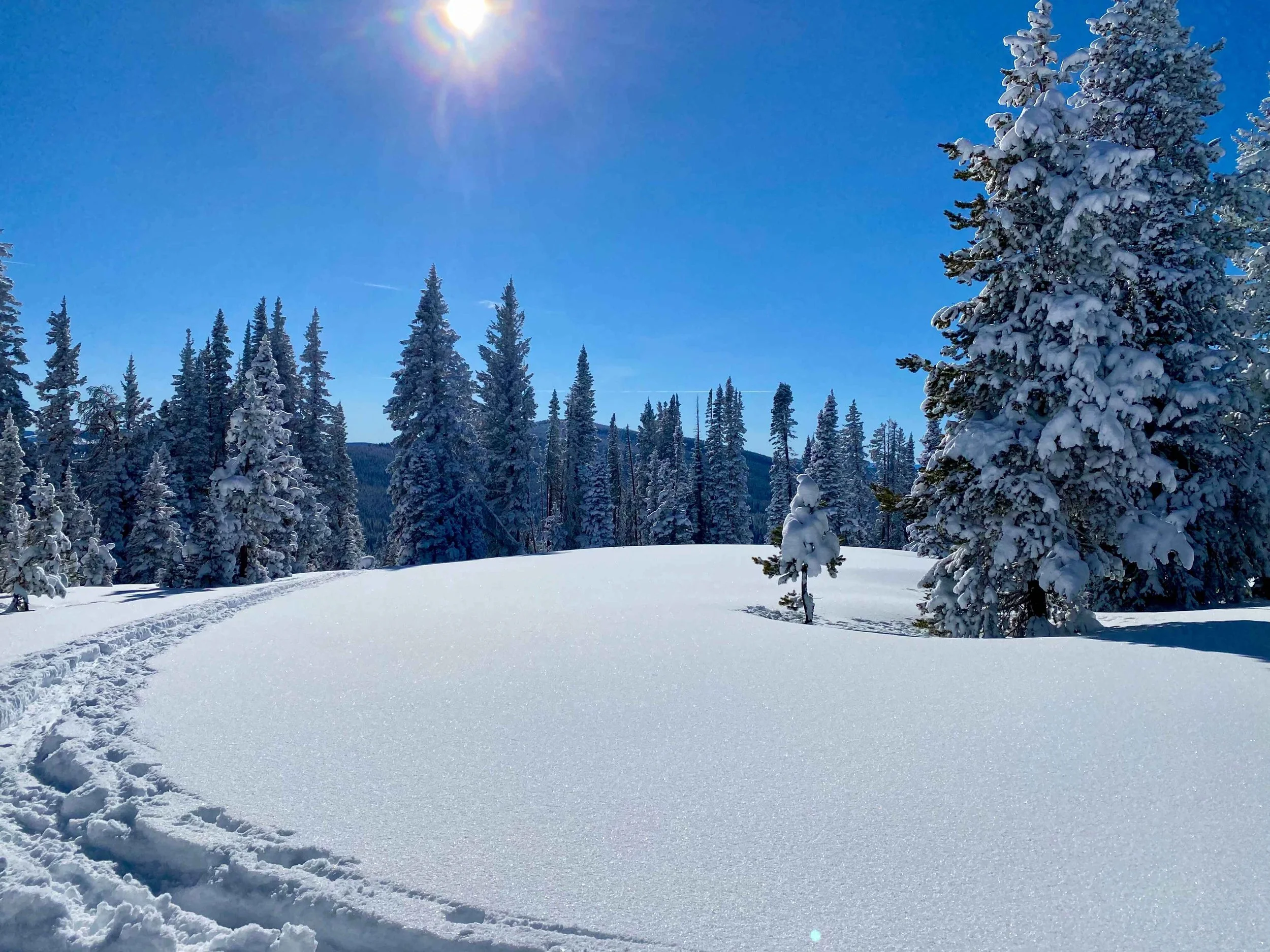 winter gallery 2.jpeg