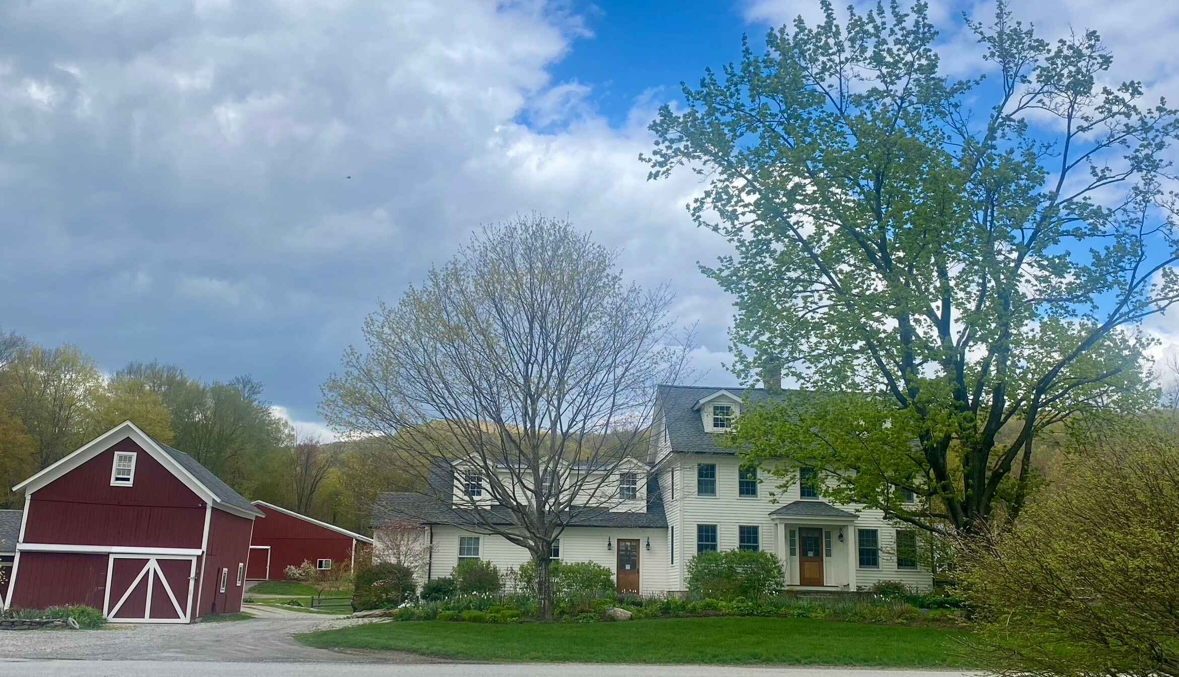 Spring gallery 2.jpeg