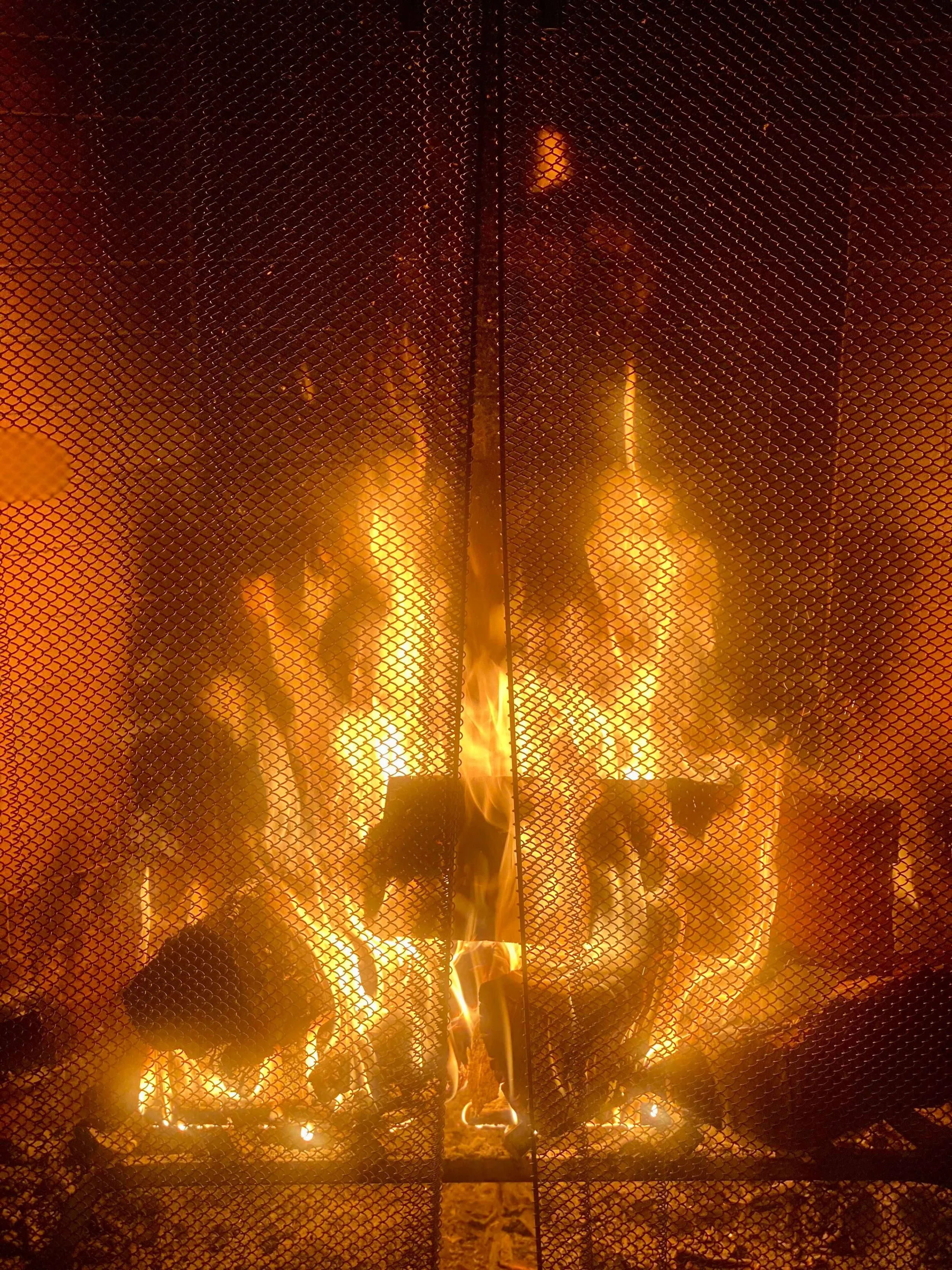 winter gallery 9.jpeg