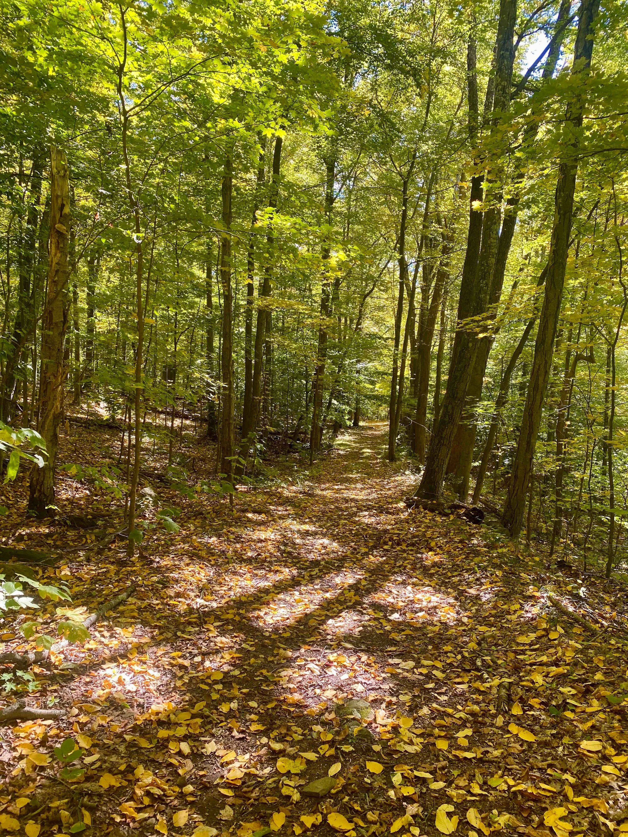 fall_retreat_photo_2.jpg