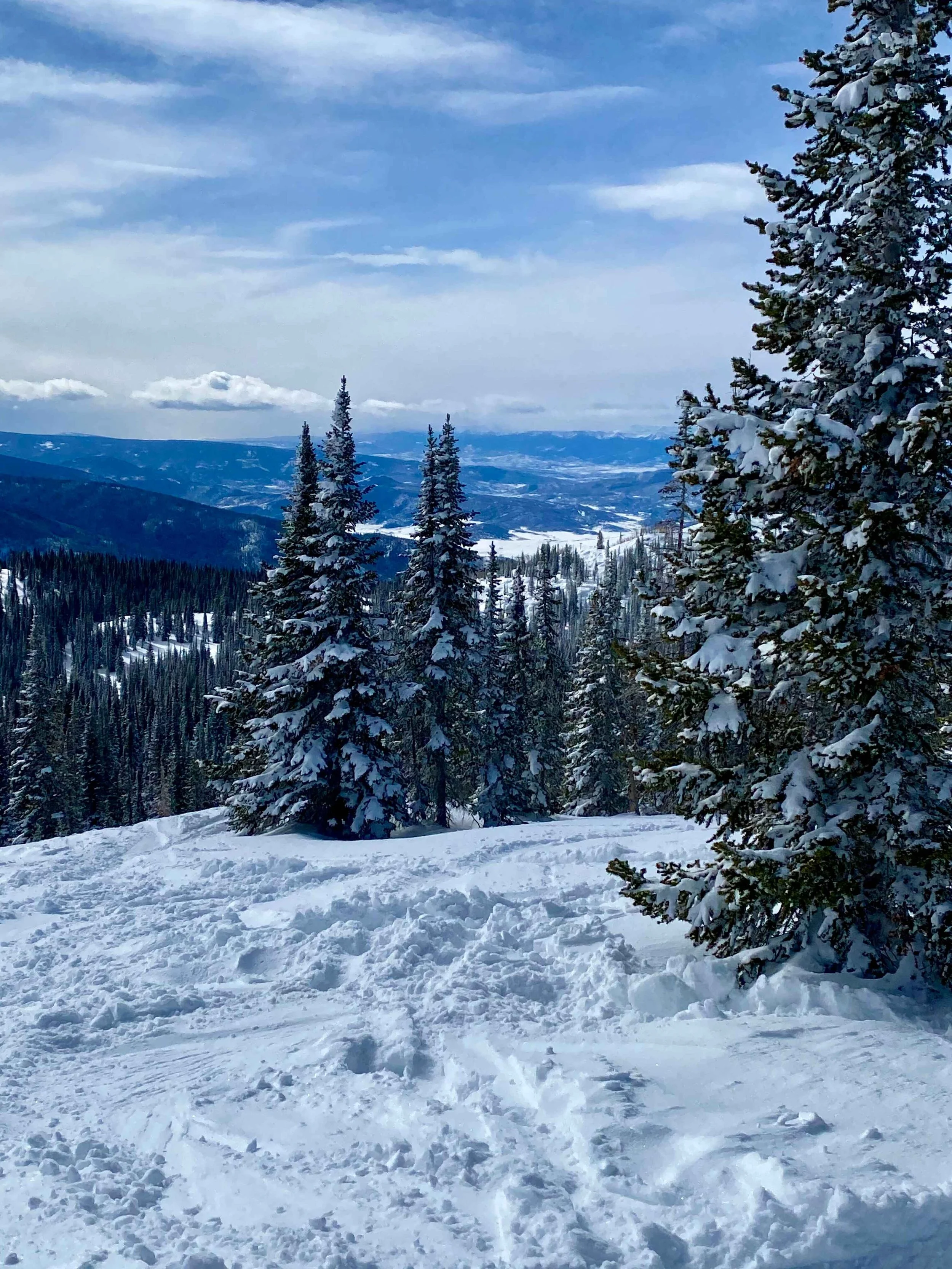 winter gallery 19.jpeg