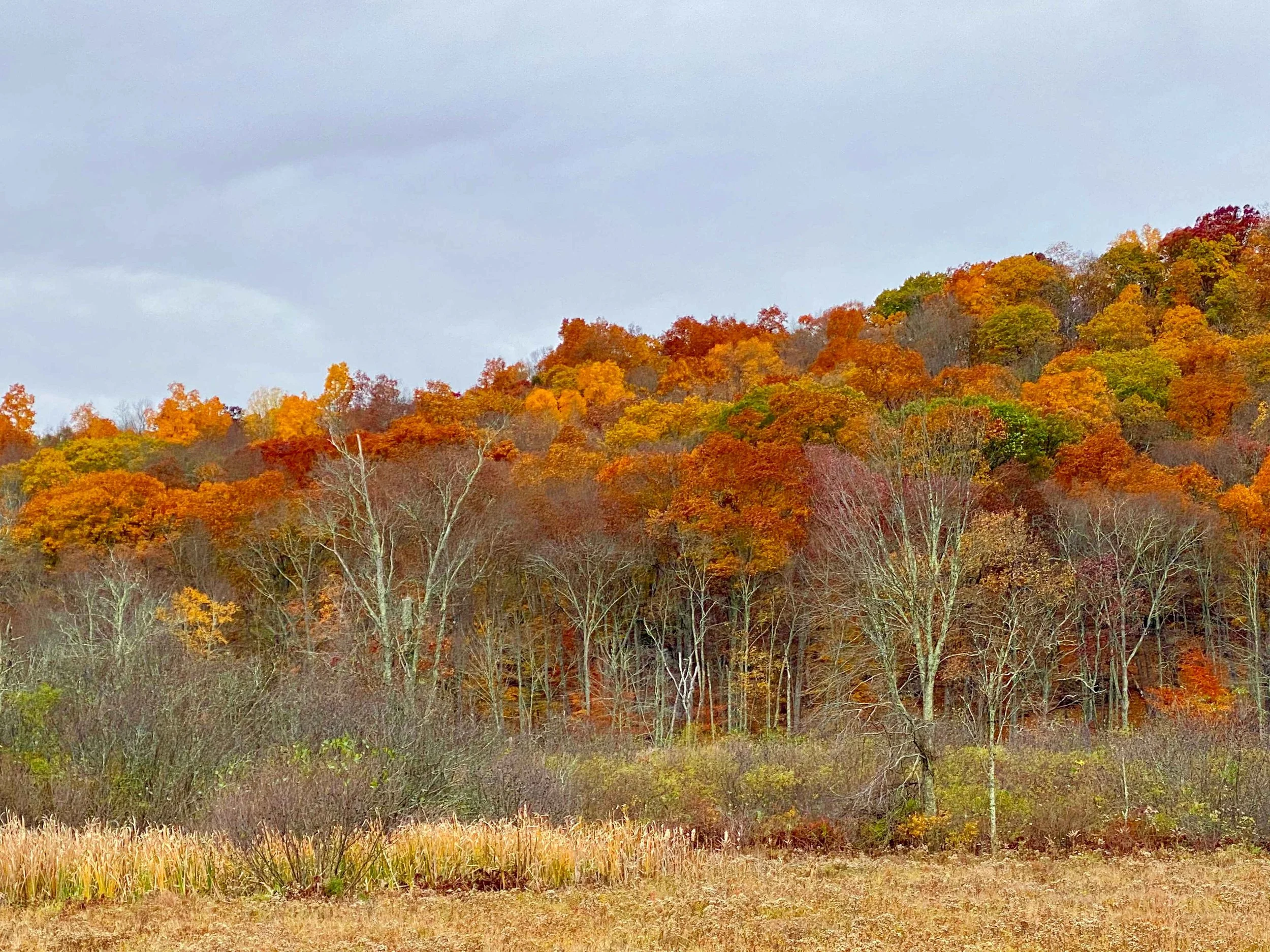 home-in-fall-retreat-photos-07.jpg