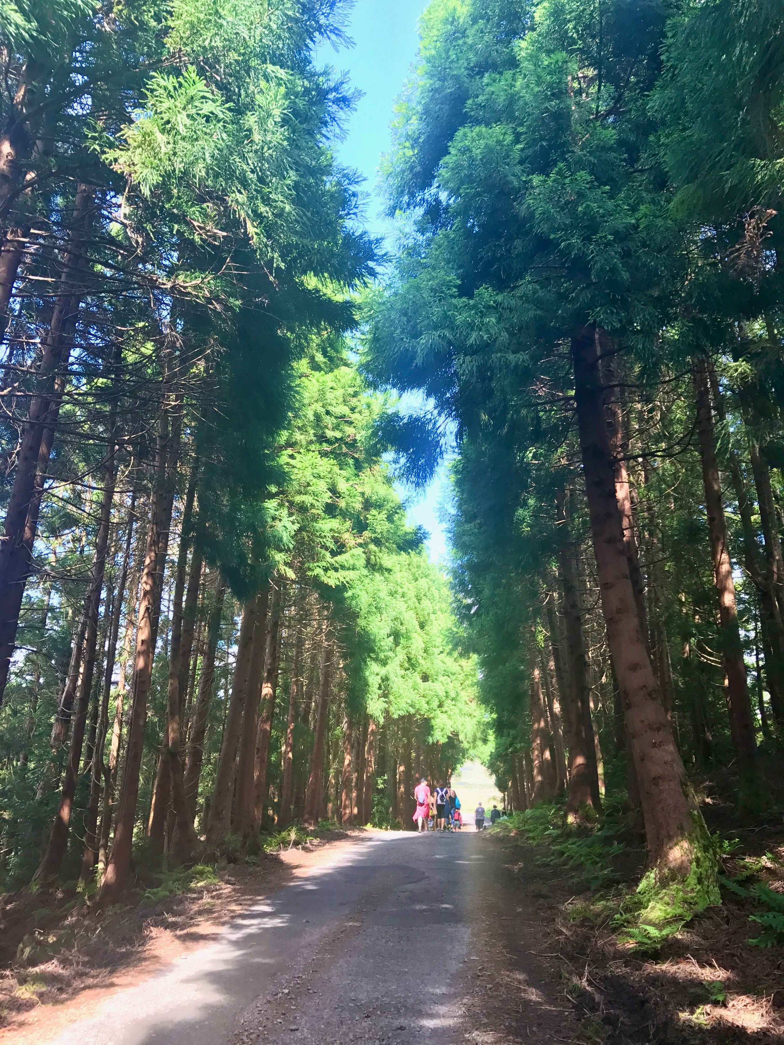 summer gallery 1.jpeg