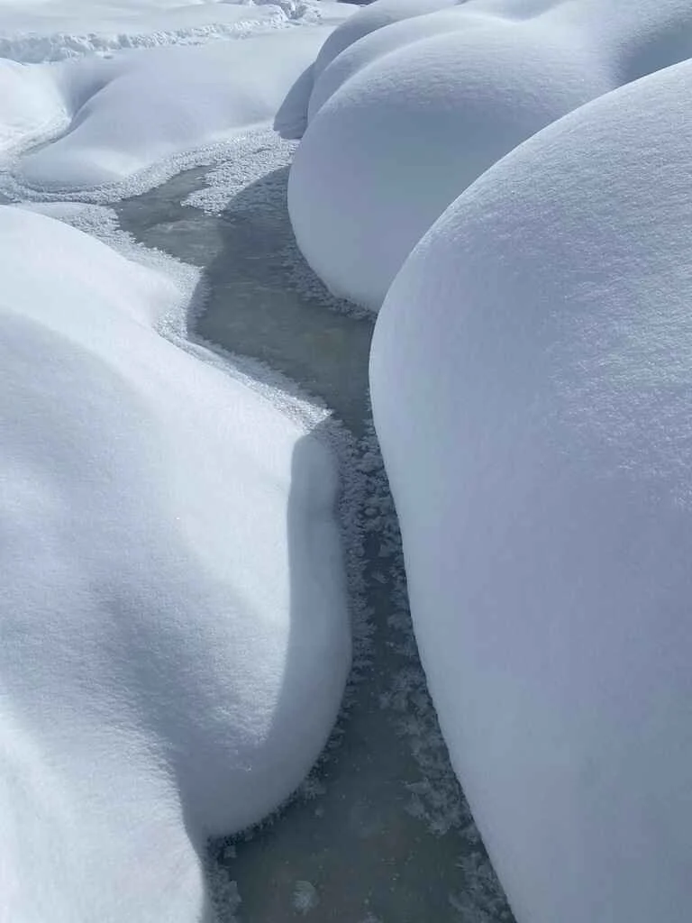 winter gallery 3.jpeg