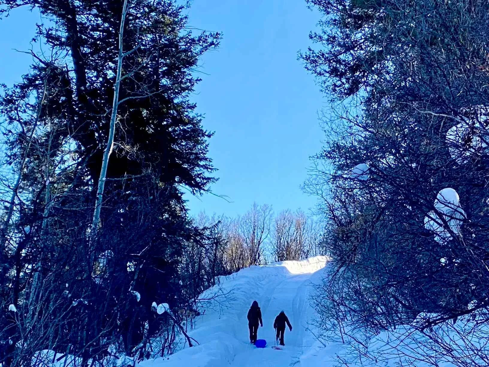 winter gallery 4.jpeg